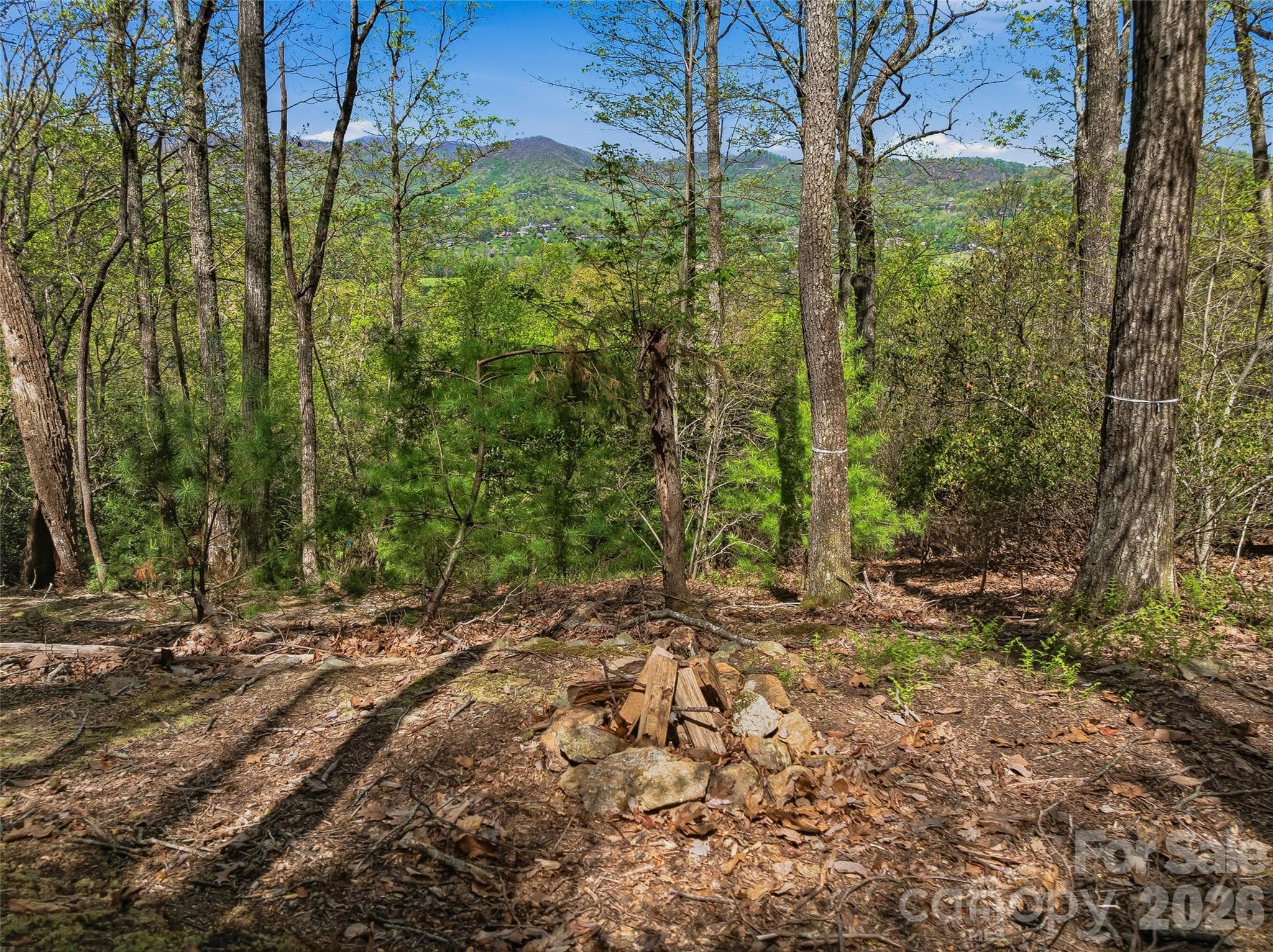 Lot at Arden, photo 4 of 25