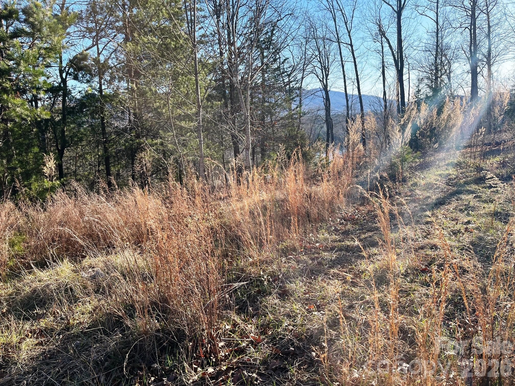 Lot at Mill Spring, photo 5 of 14