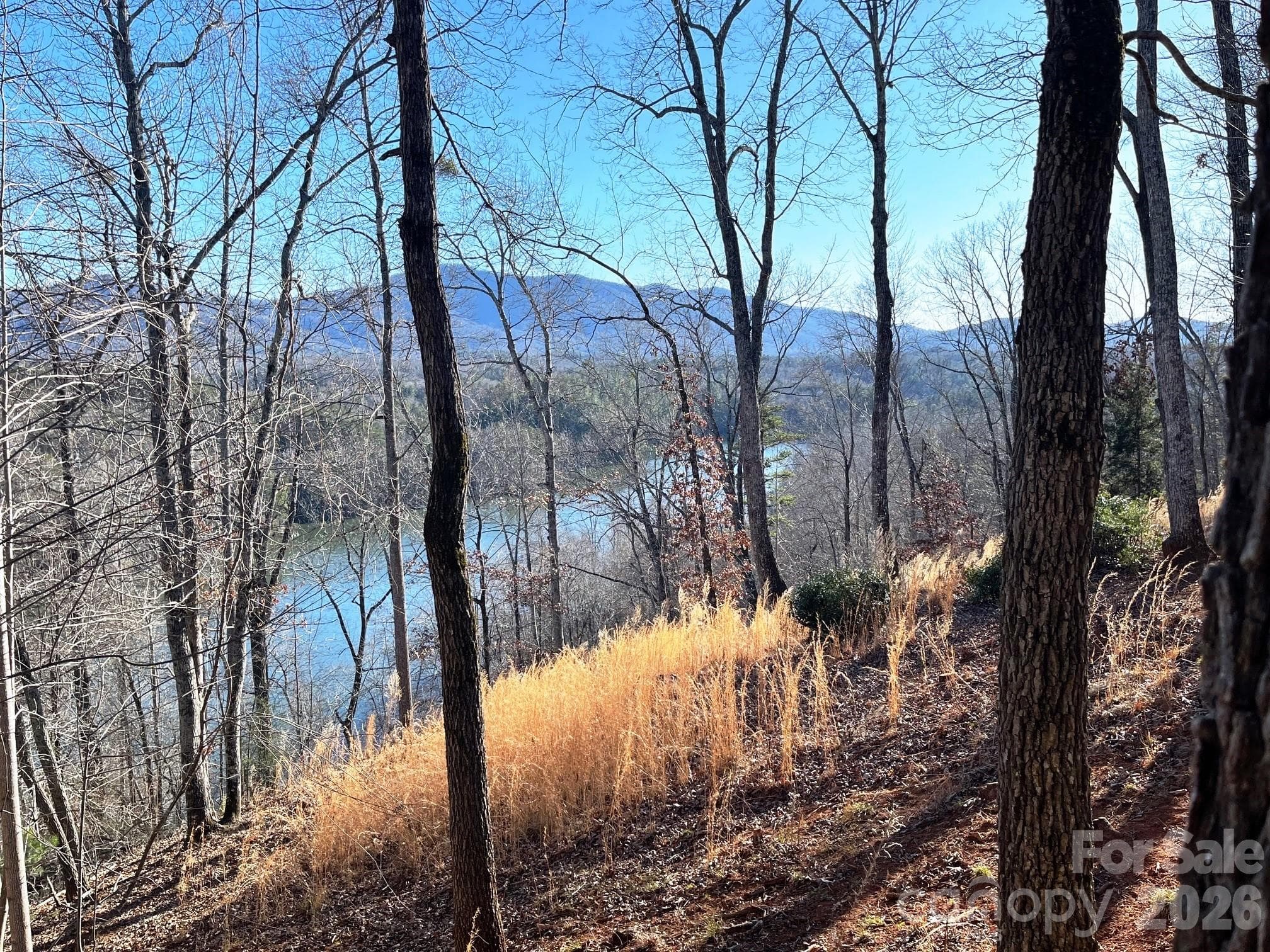 Lot at Mill Spring, photo 6 of 14