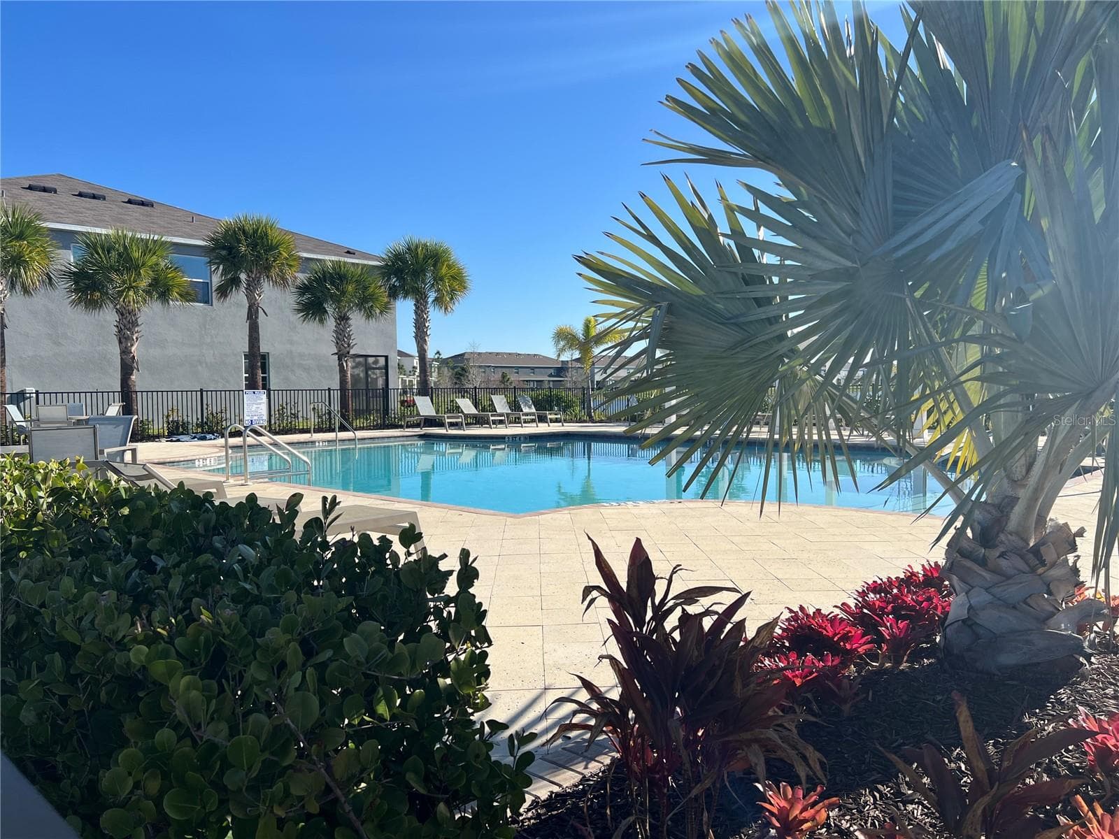 Beautiful Pool Area - 184 MANGROVE SHADE CIR, APOLLO BEACH