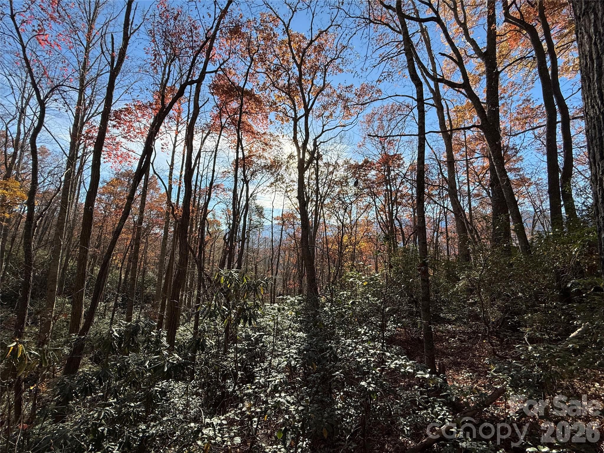 Lot at Burnsville, photo 16 of 30