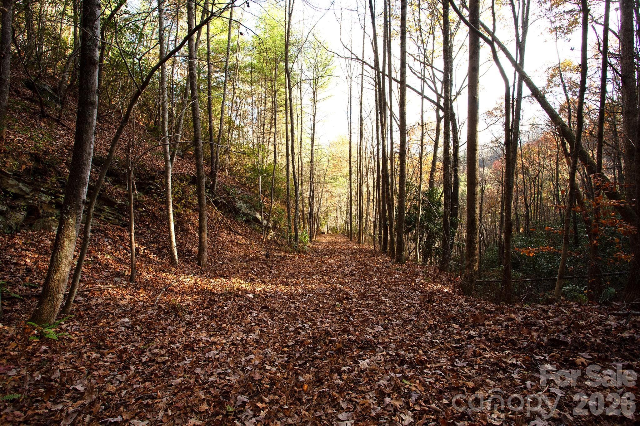 Acreage at Marshall, photo 2 of 8
