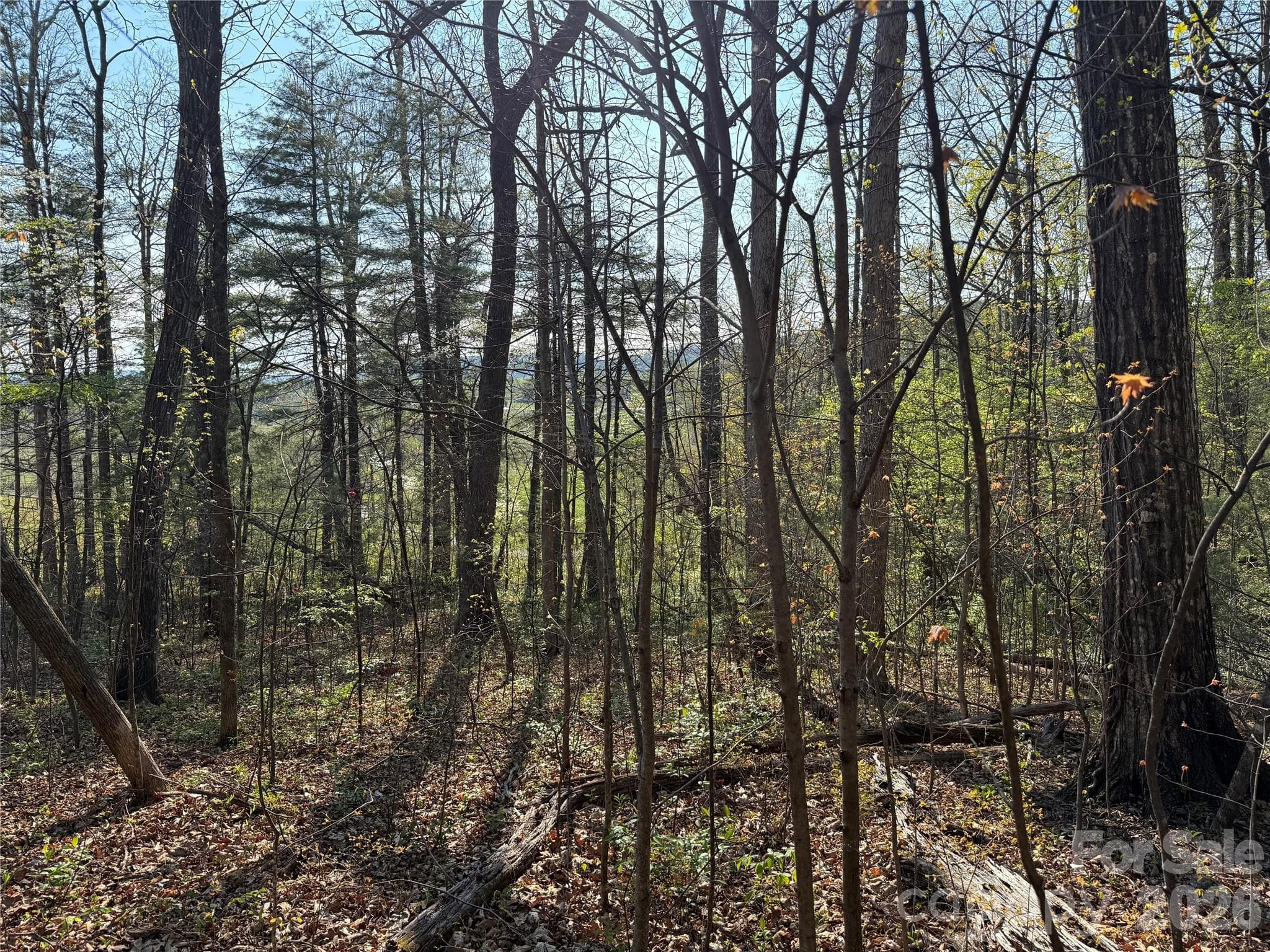 Lot at Hendersonville, photo 2 of 15