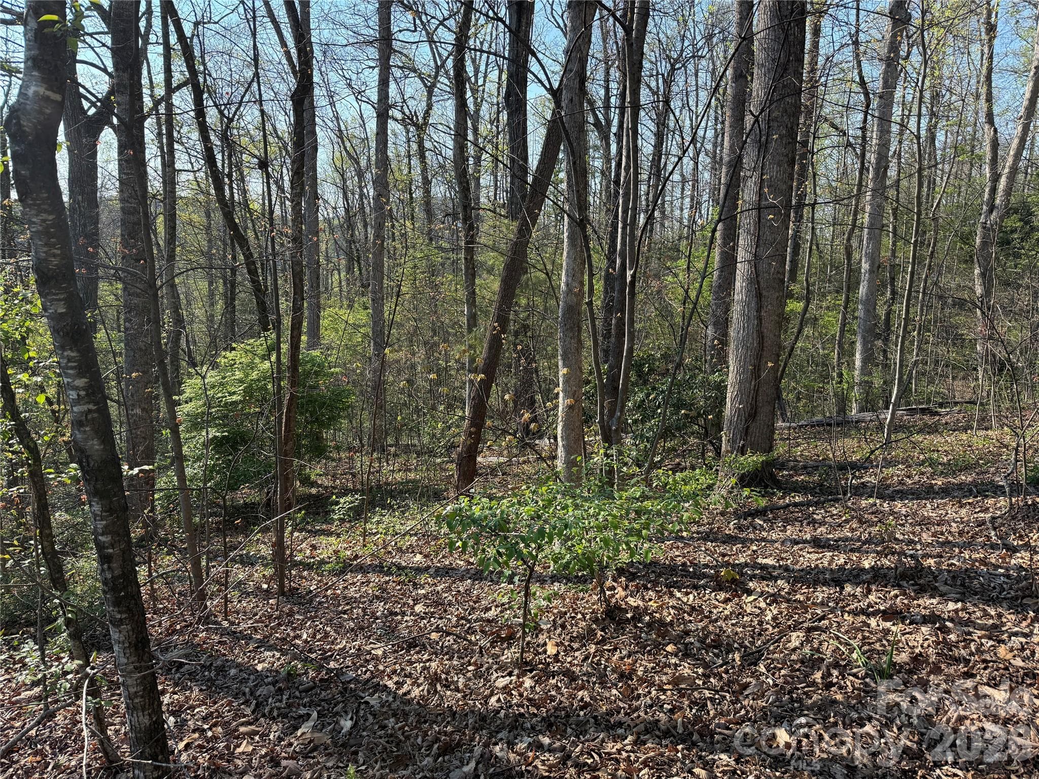 Lot at Hendersonville, photo 3 of 15