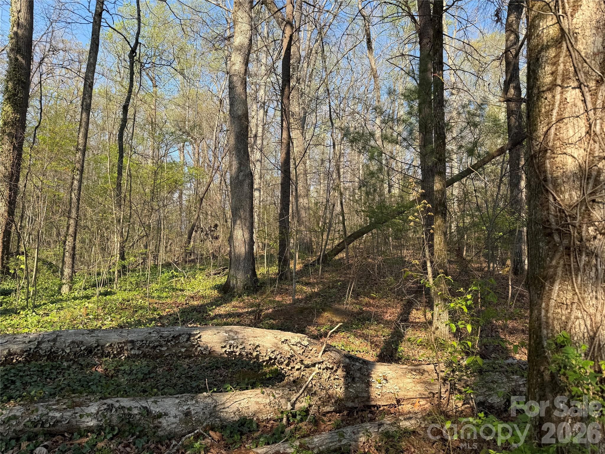 Lot at Hendersonville, photo 4 of 15