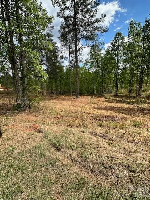 Lot at 2158 Jumping Run, Connelly Springs, photo 16 of 29