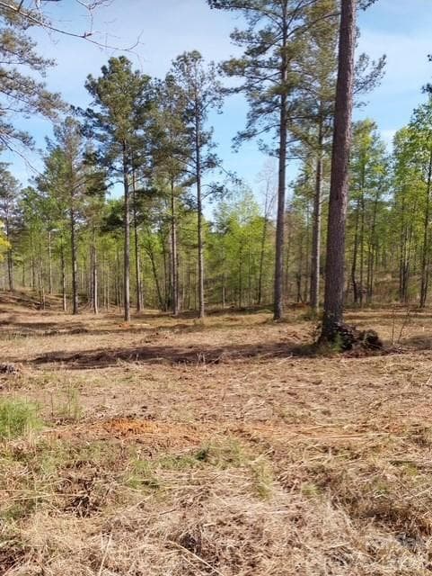 Lot at 2158 Jumping Run, Connelly Springs, photo 17 of 29