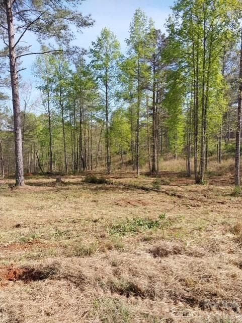 Lot at 2158 Jumping Run, Connelly Springs, photo 18 of 29