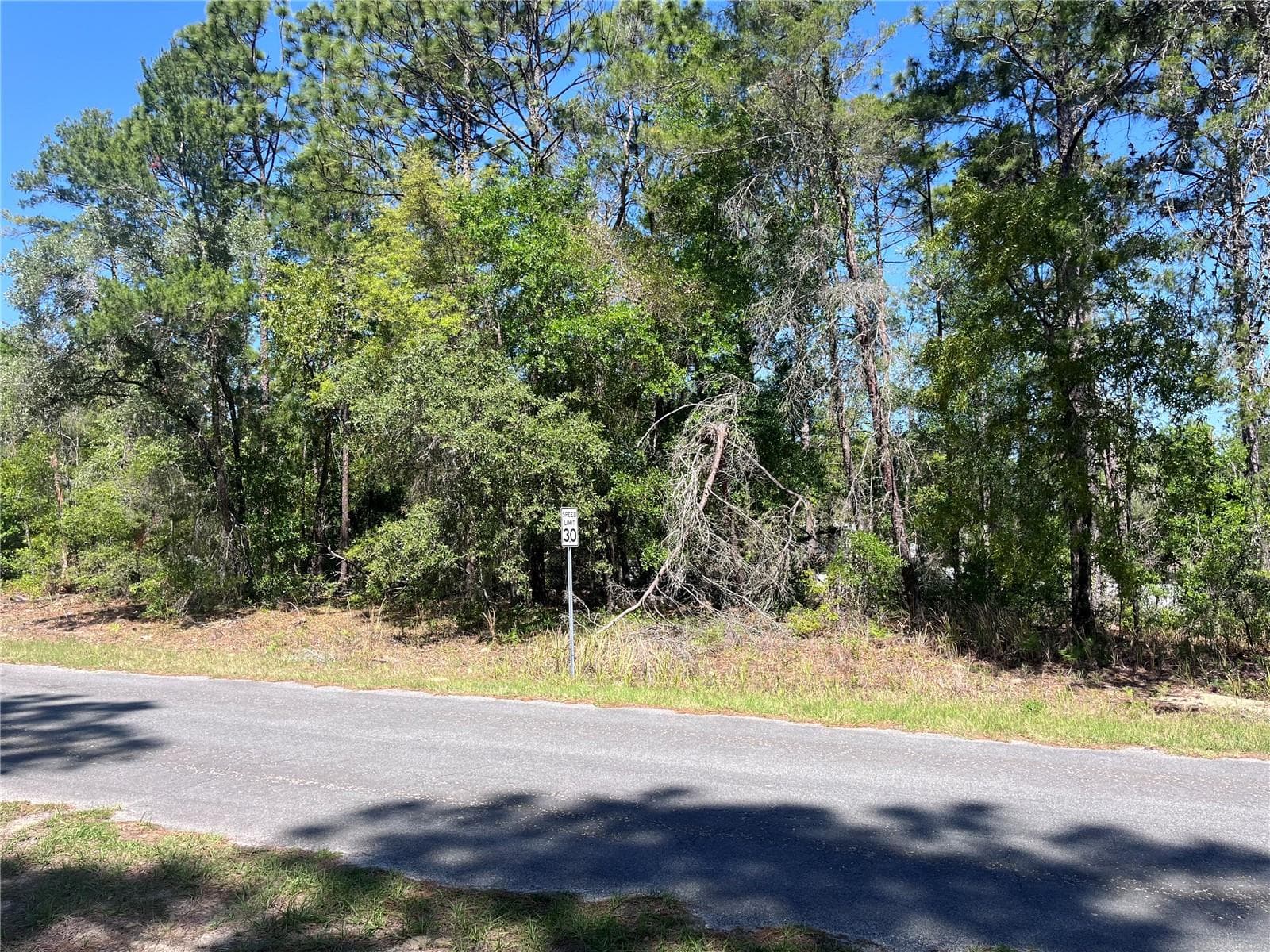 Septic needed. Water and electric nearby - 8000 N POCONO DR, CITRUS SPRINGS