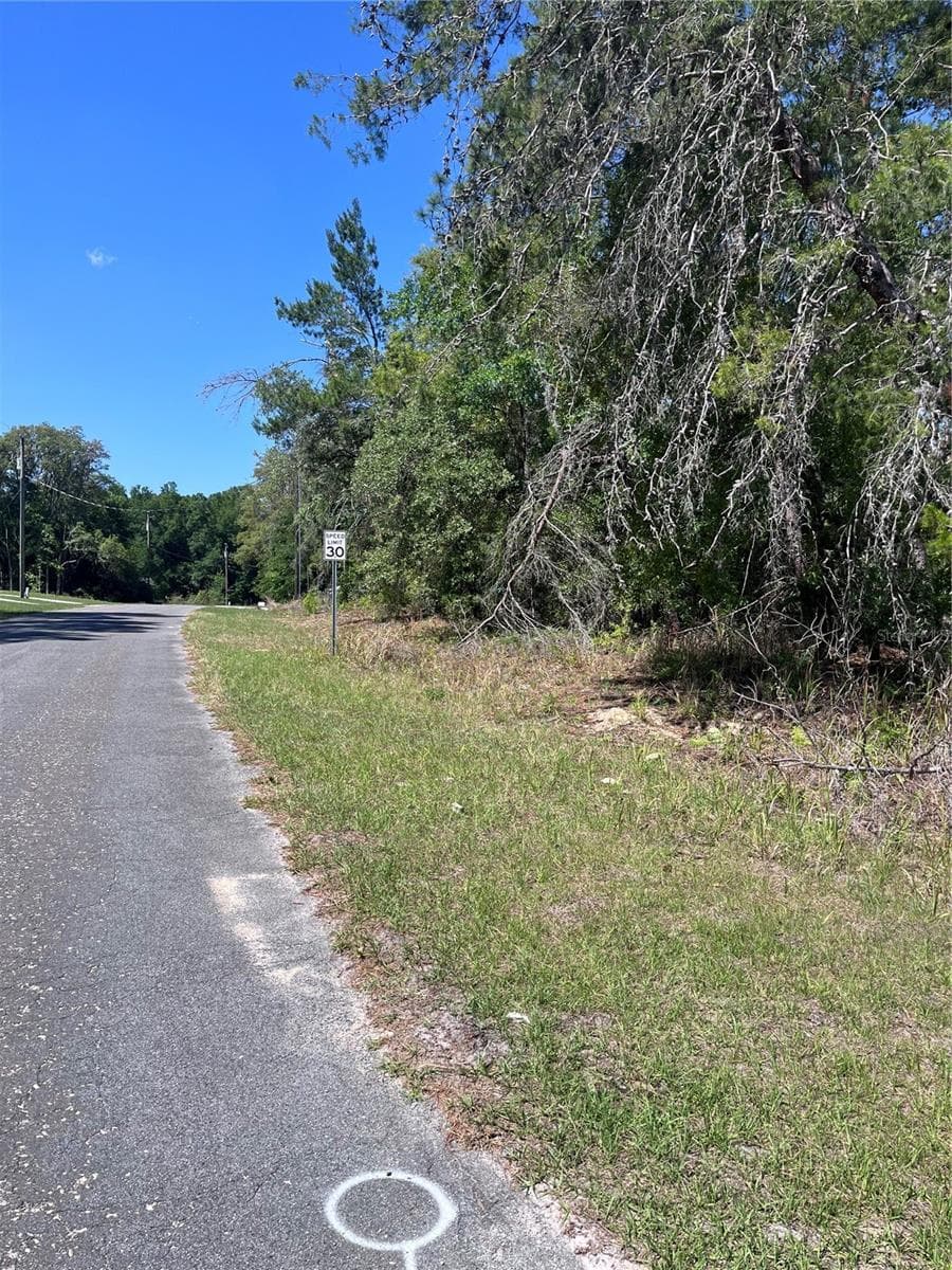 Looking down street from property in southwest direction - 8000 N POCONO DR, CITRUS SPRINGS