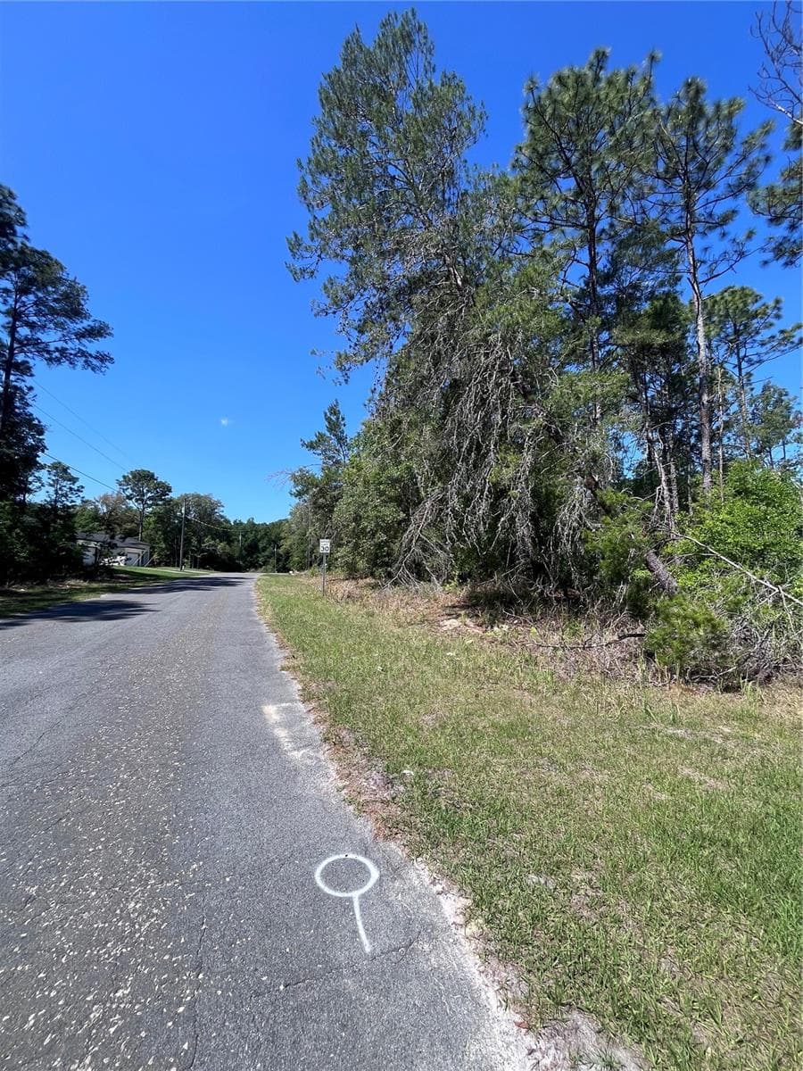 Neighboring lot to southwest is vacant and wooded. - 8000 N POCONO DR, CITRUS SPRINGS