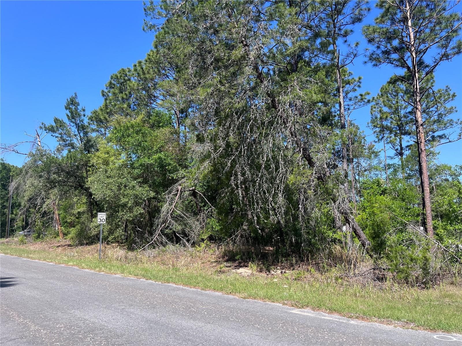Land at 8000 N POCONO DR, CITRUS SPRINGS, photo 6 of 8
