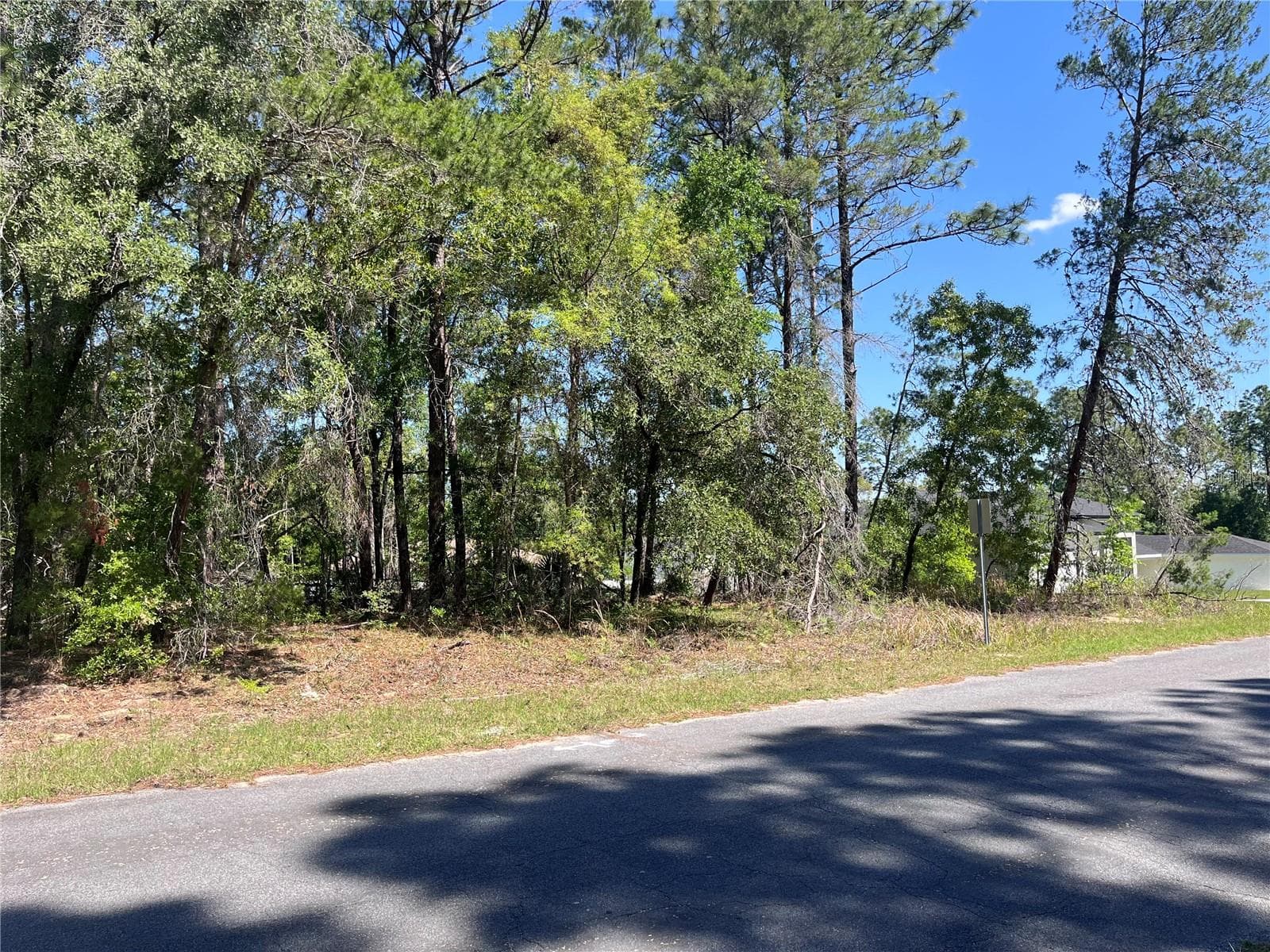 Looking down street to right of property northeast direction - 8000 N POCONO DR, CITRUS SPRINGS