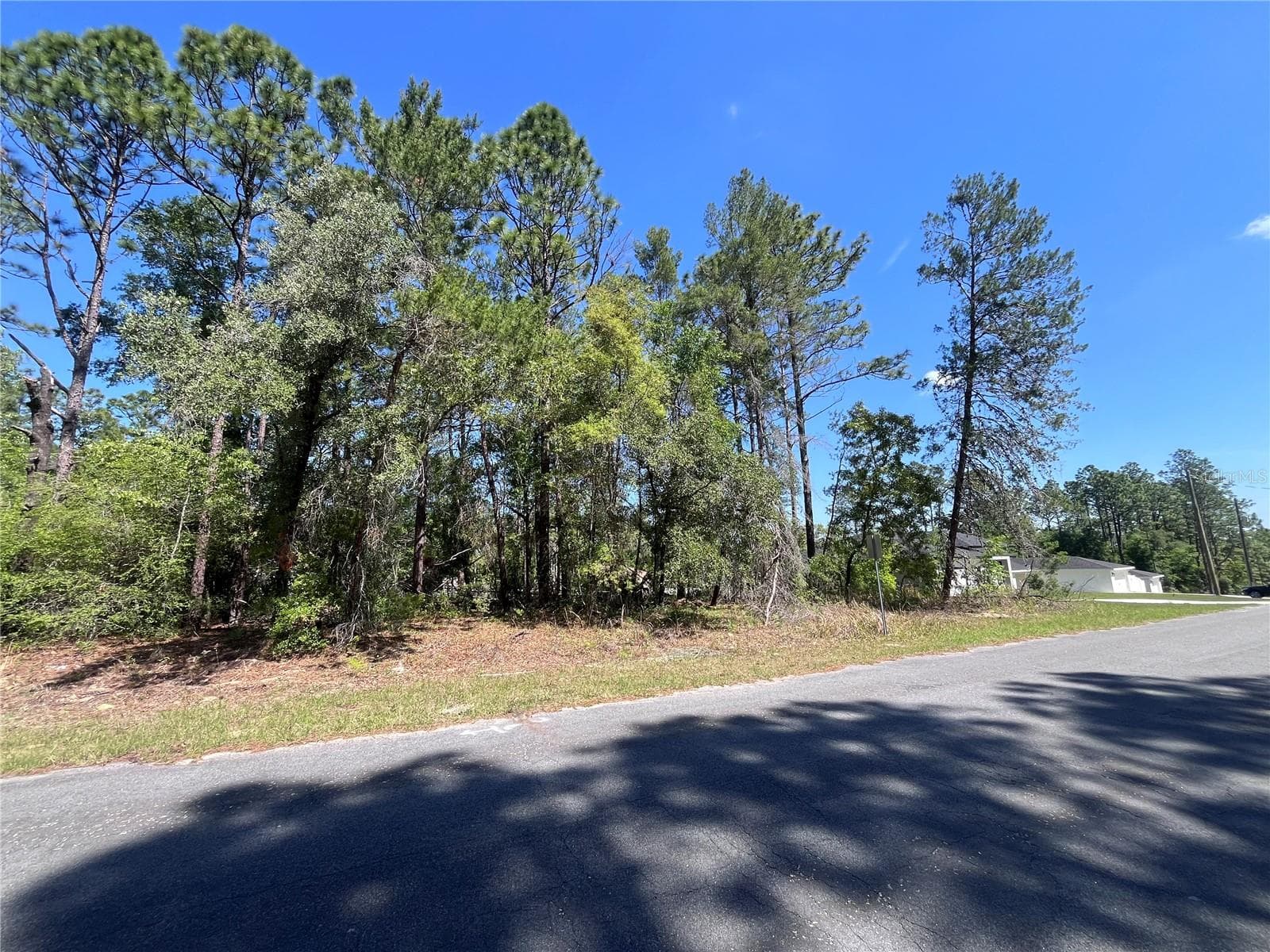 Neighboring lot to northeast has residential home. - 8000 N POCONO DR, CITRUS SPRINGS