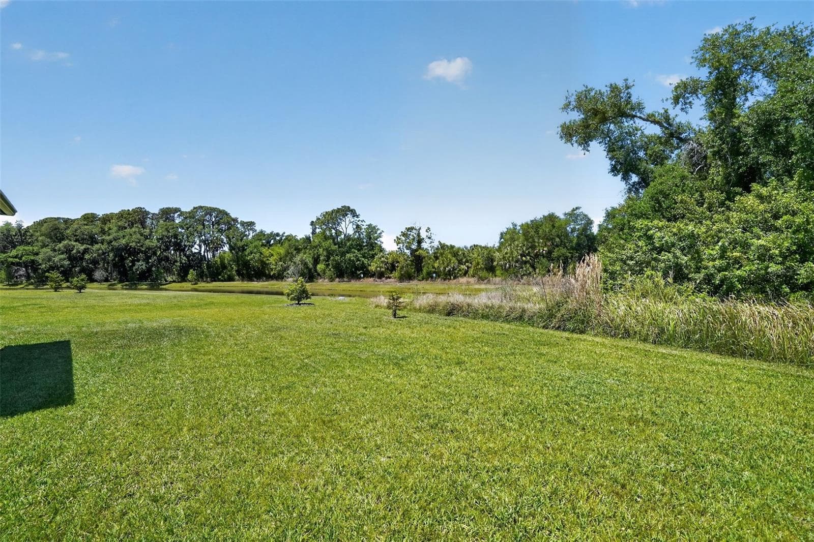 Single Family Residence at 8131 TEA OLIVE TER, PALMETTO, photo 26 of 29