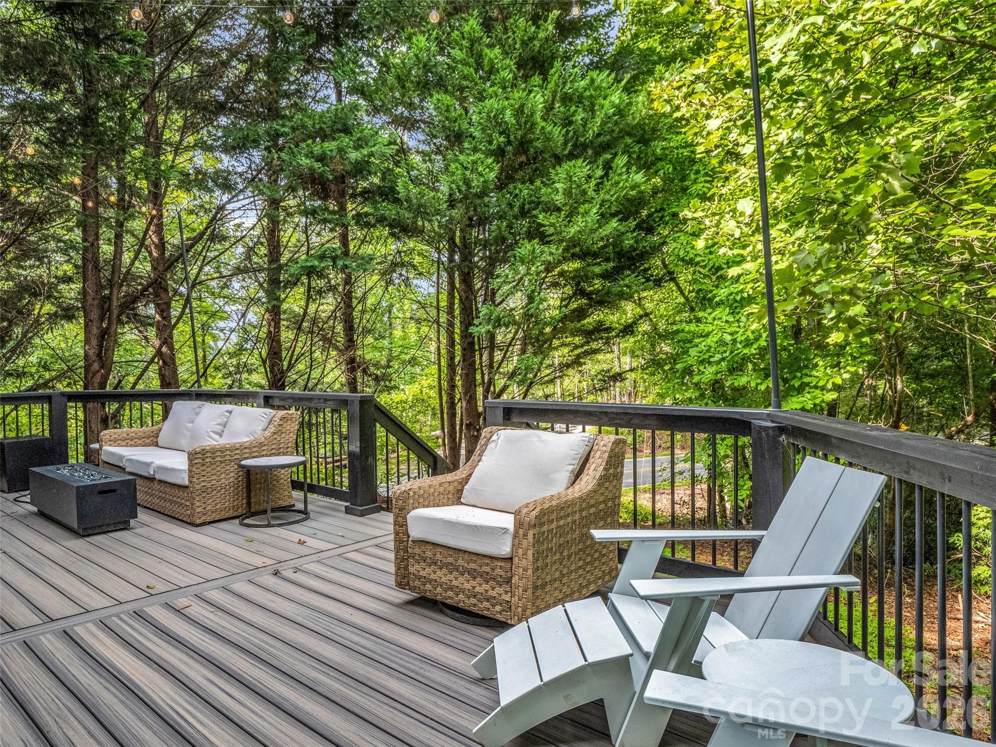 Single Family Residence at 105 Sunset Cove Road, Lake Lure, photo 4 of 44