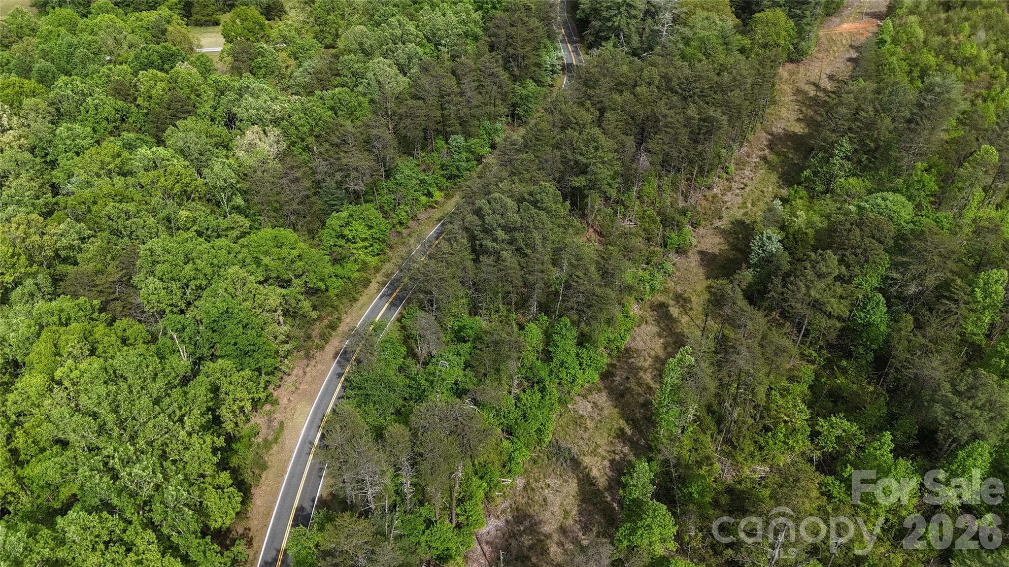 Acreage at Rutherfordton, photo 4 of 25