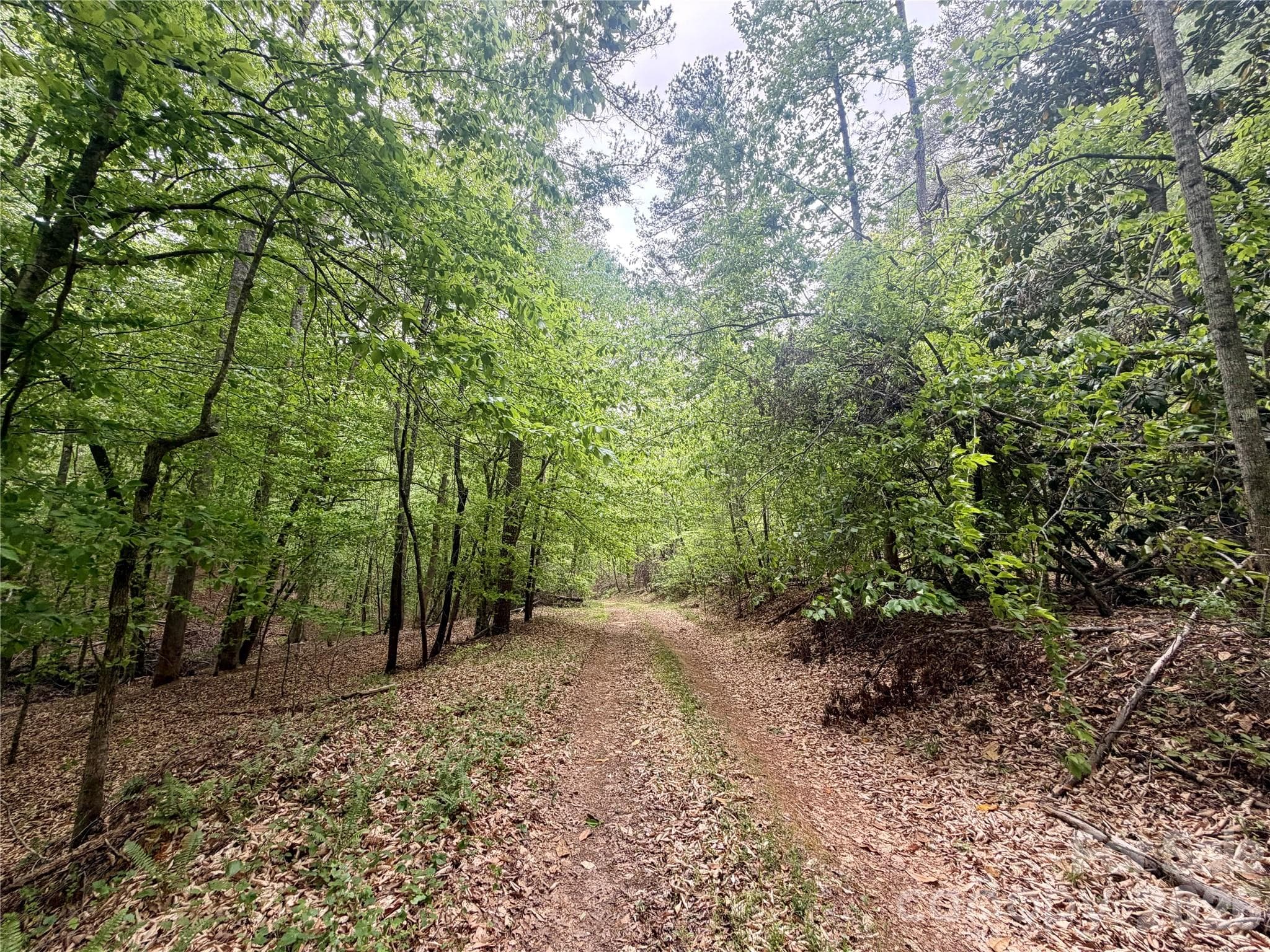 Acreage at Rutherfordton, photo 2 of 25