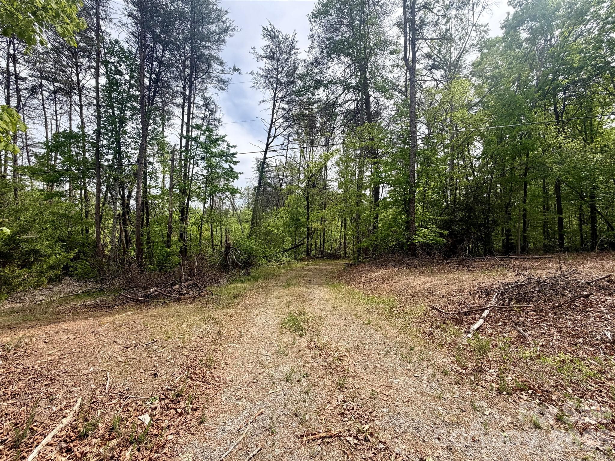 Acreage at 0 Polk County Line Road, Rutherfordton, photo 5 of 25