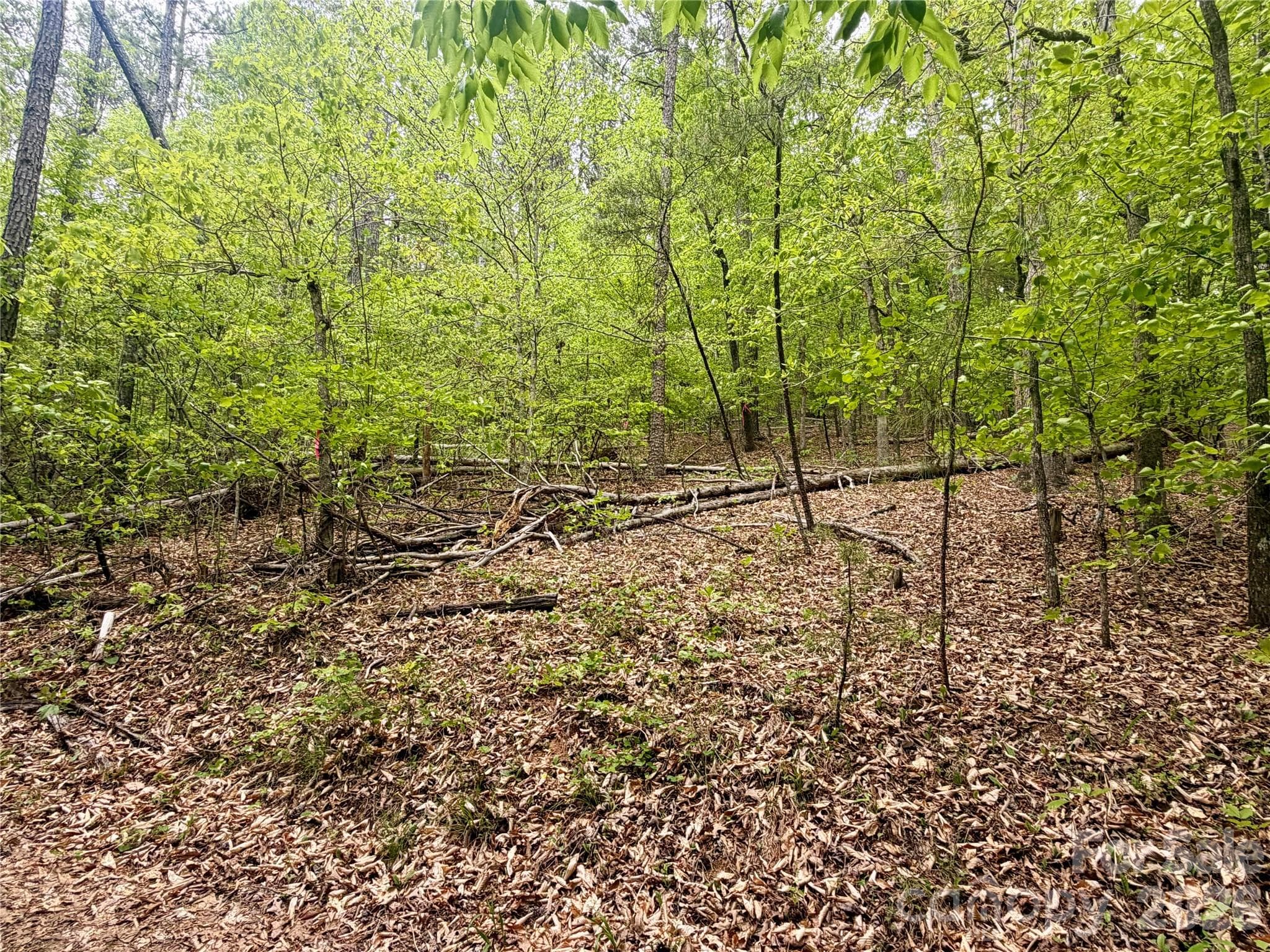 Acreage at 0 Polk County Line Road, Rutherfordton, photo 14 of 25