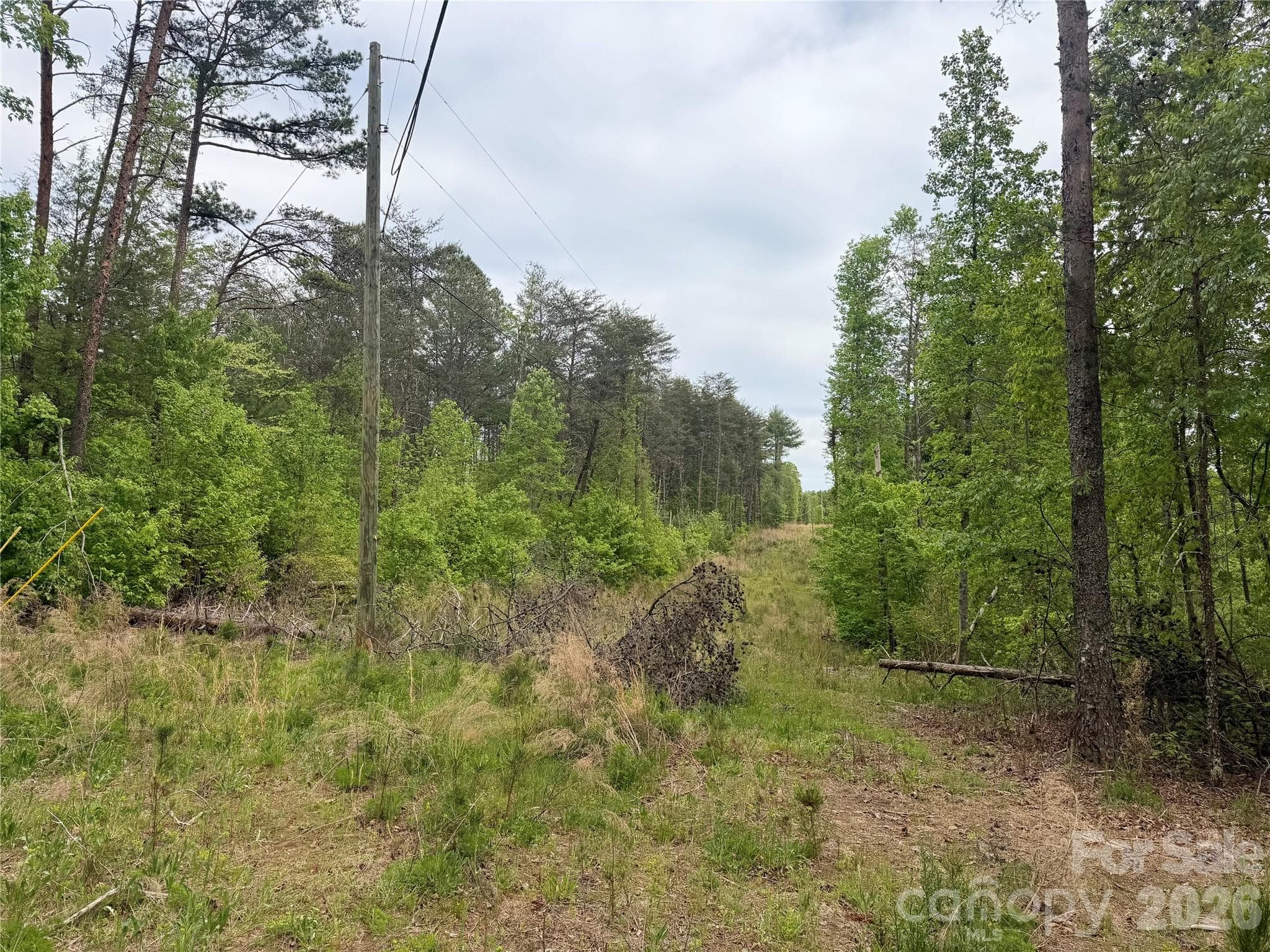 Acreage at 0 Polk County Line Road, Rutherfordton, photo 16 of 25