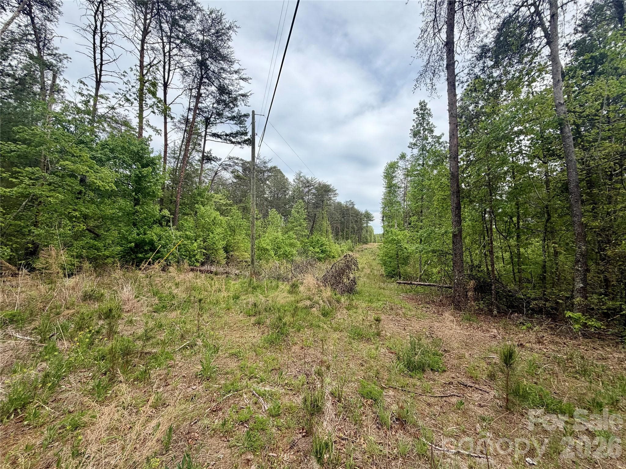 Acreage at 0 Polk County Line Road, Rutherfordton, photo 17 of 25