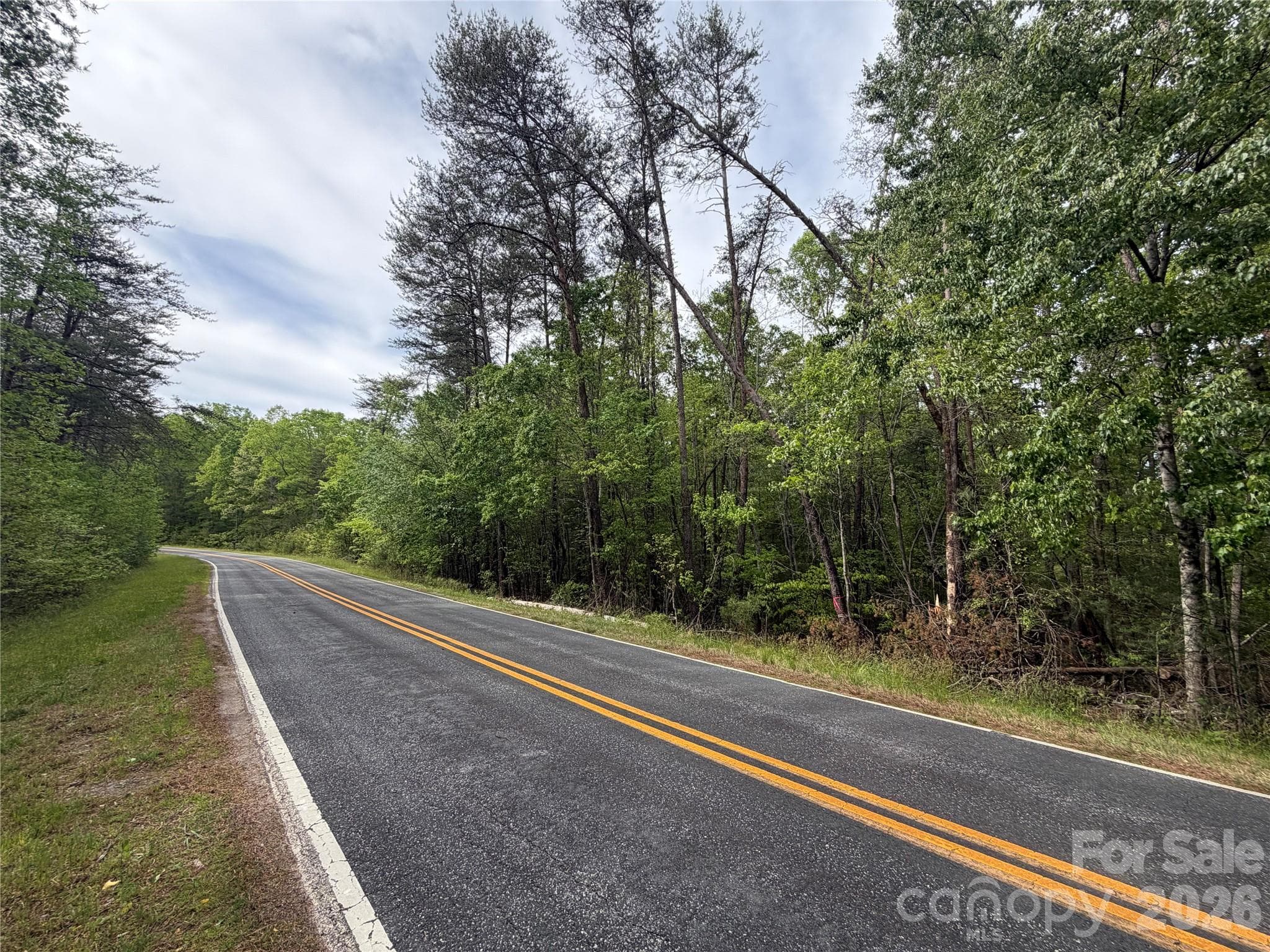 Acreage at 0 Polk County Line Road, Rutherfordton, photo 18 of 25
