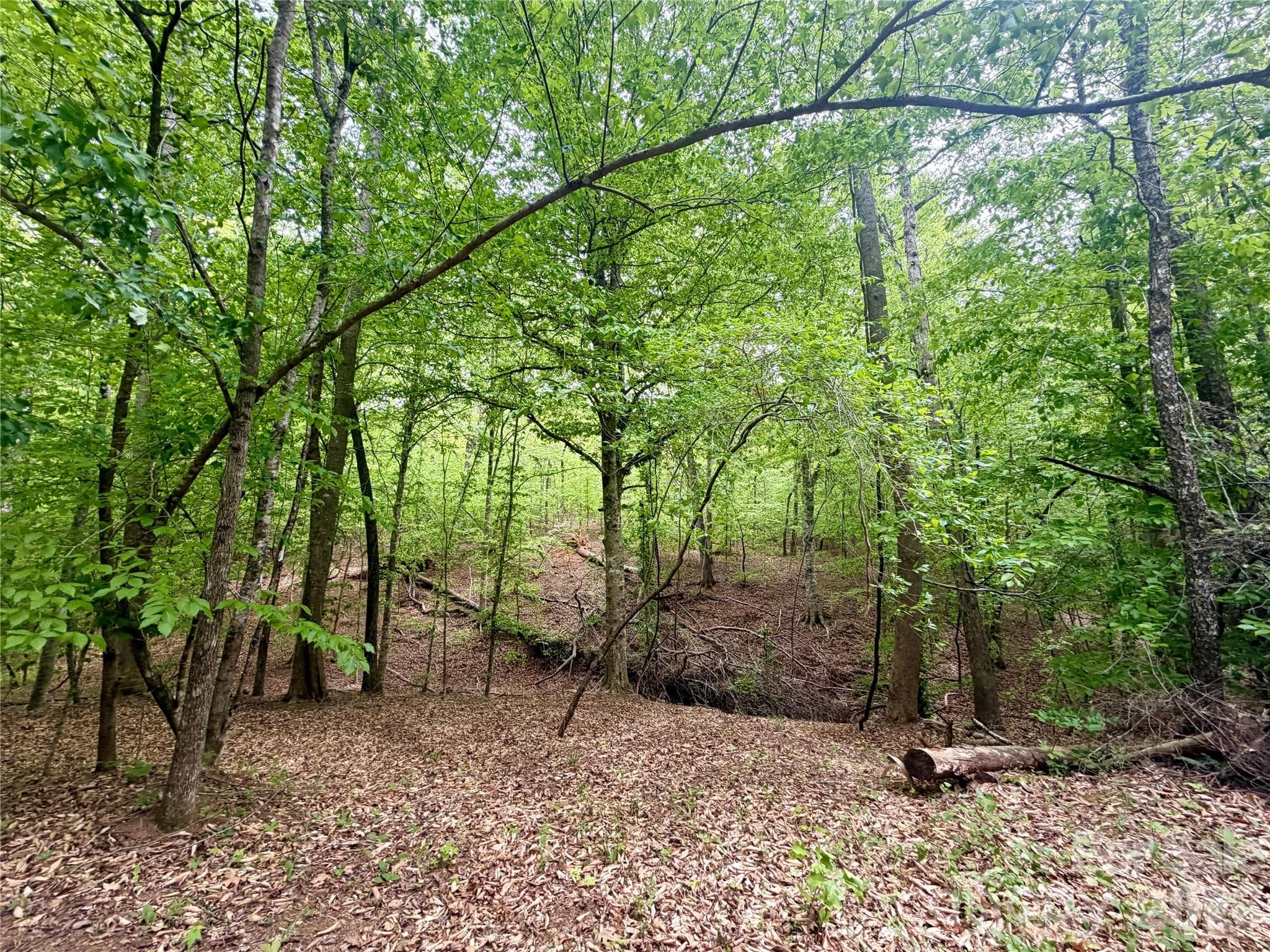 Acreage at 0 Polk County Line Road, Rutherfordton, photo 23 of 25