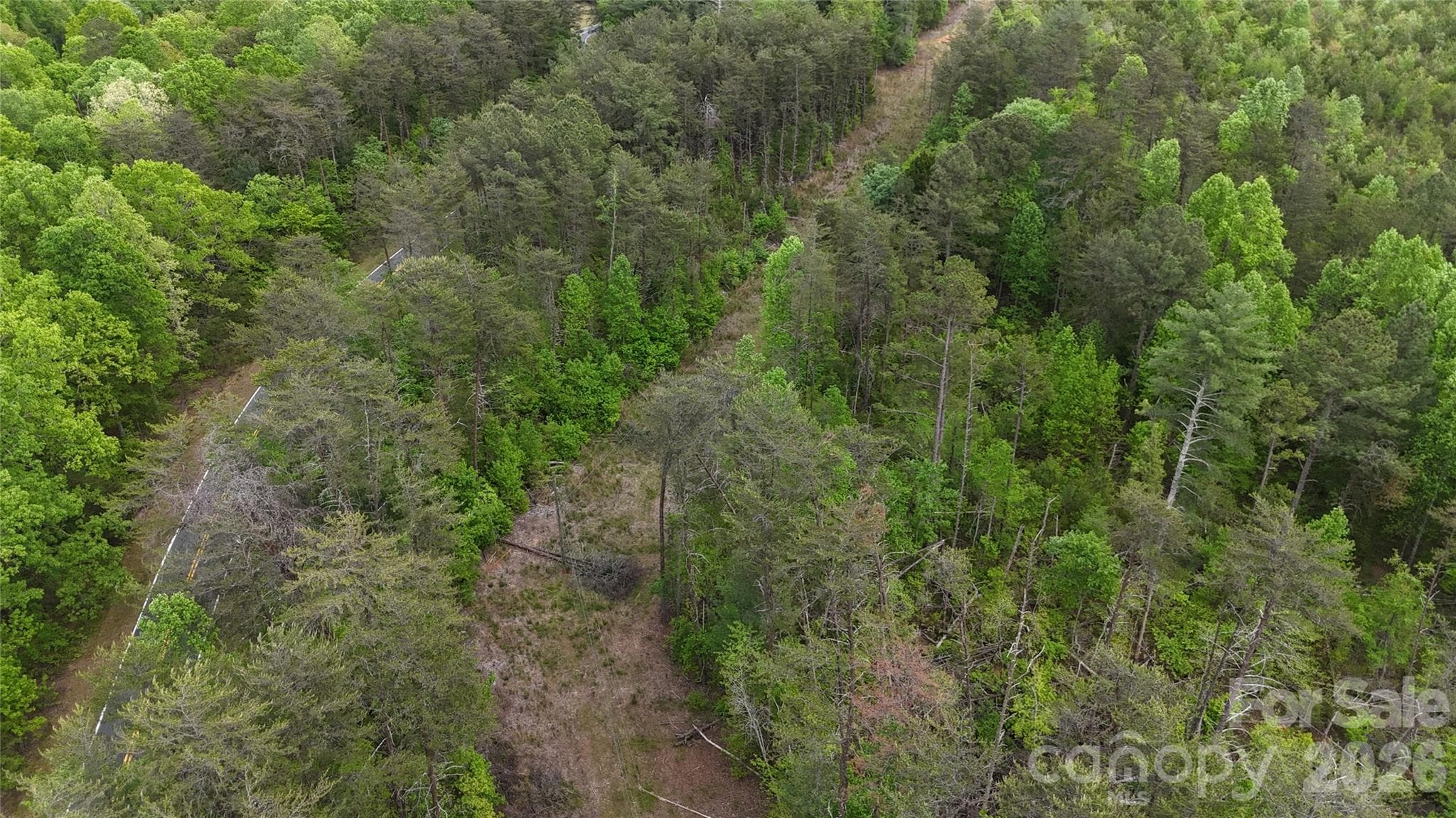 Acreage at 0 Polk County Line Road, Rutherfordton, photo 24 of 25