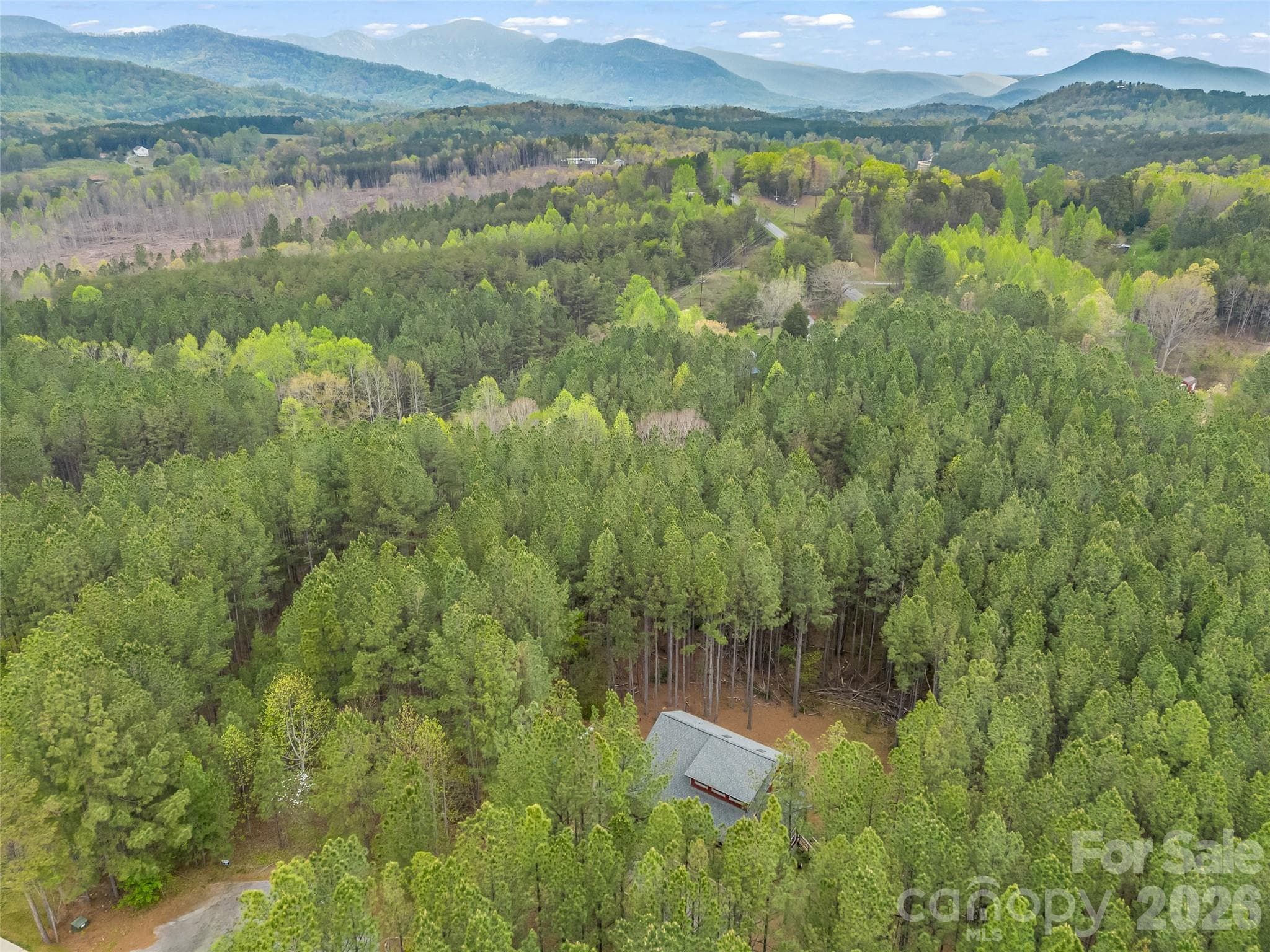 Single Family Residence at 120 Ashley Court, Mill Spring, photo 41 of 44