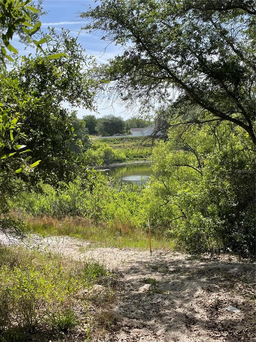 Land at REDBUD RD, LADY LAKE, photo 4 of 10