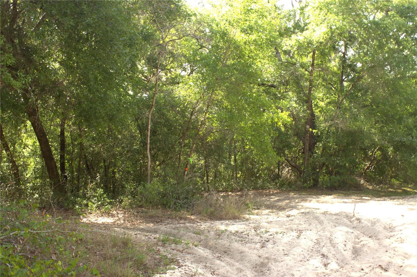 Land at REDBUD RD, LADY LAKE, photo 6 of 10