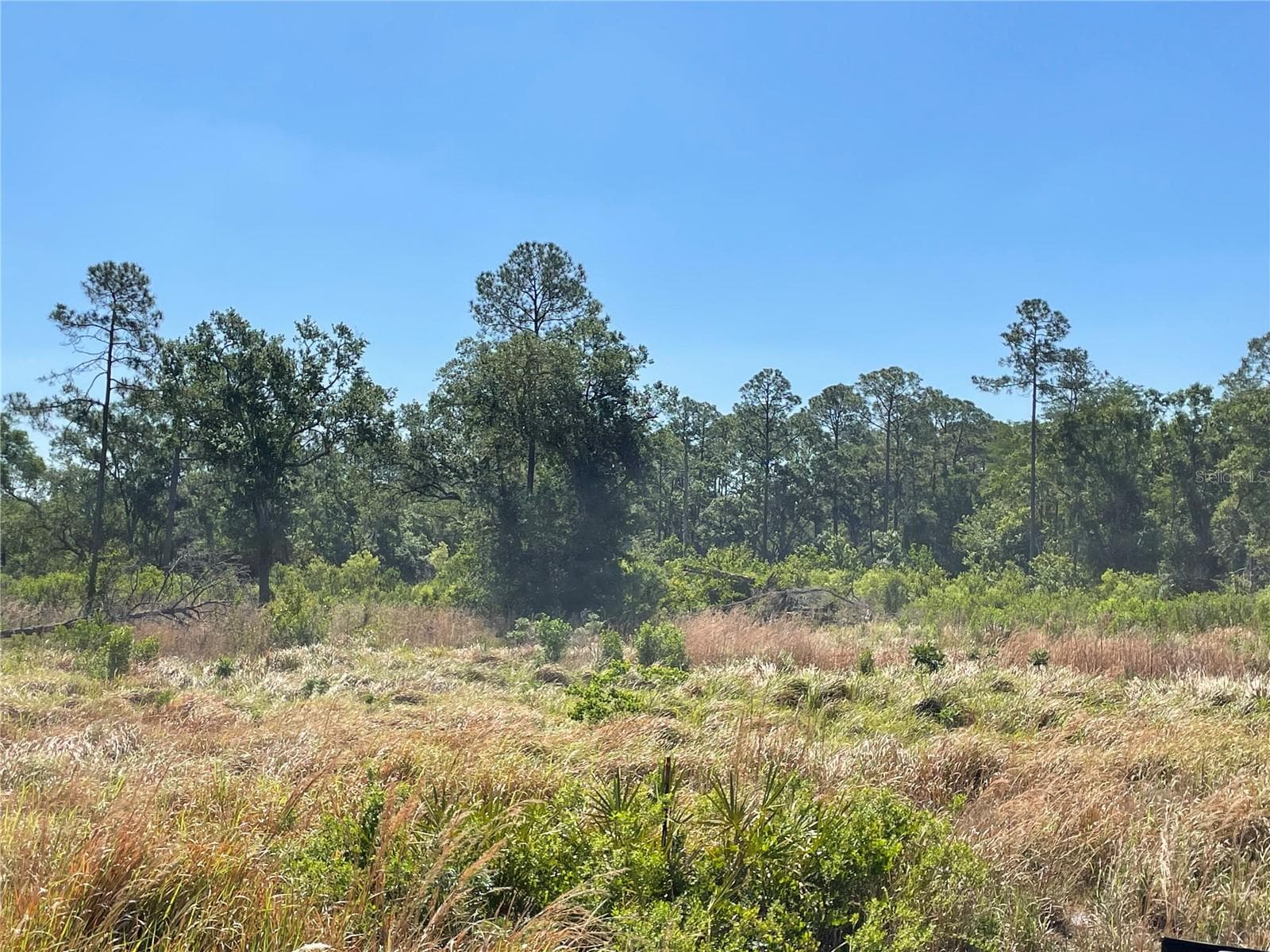 Cleared lot - AVONWOOD, TAMPA