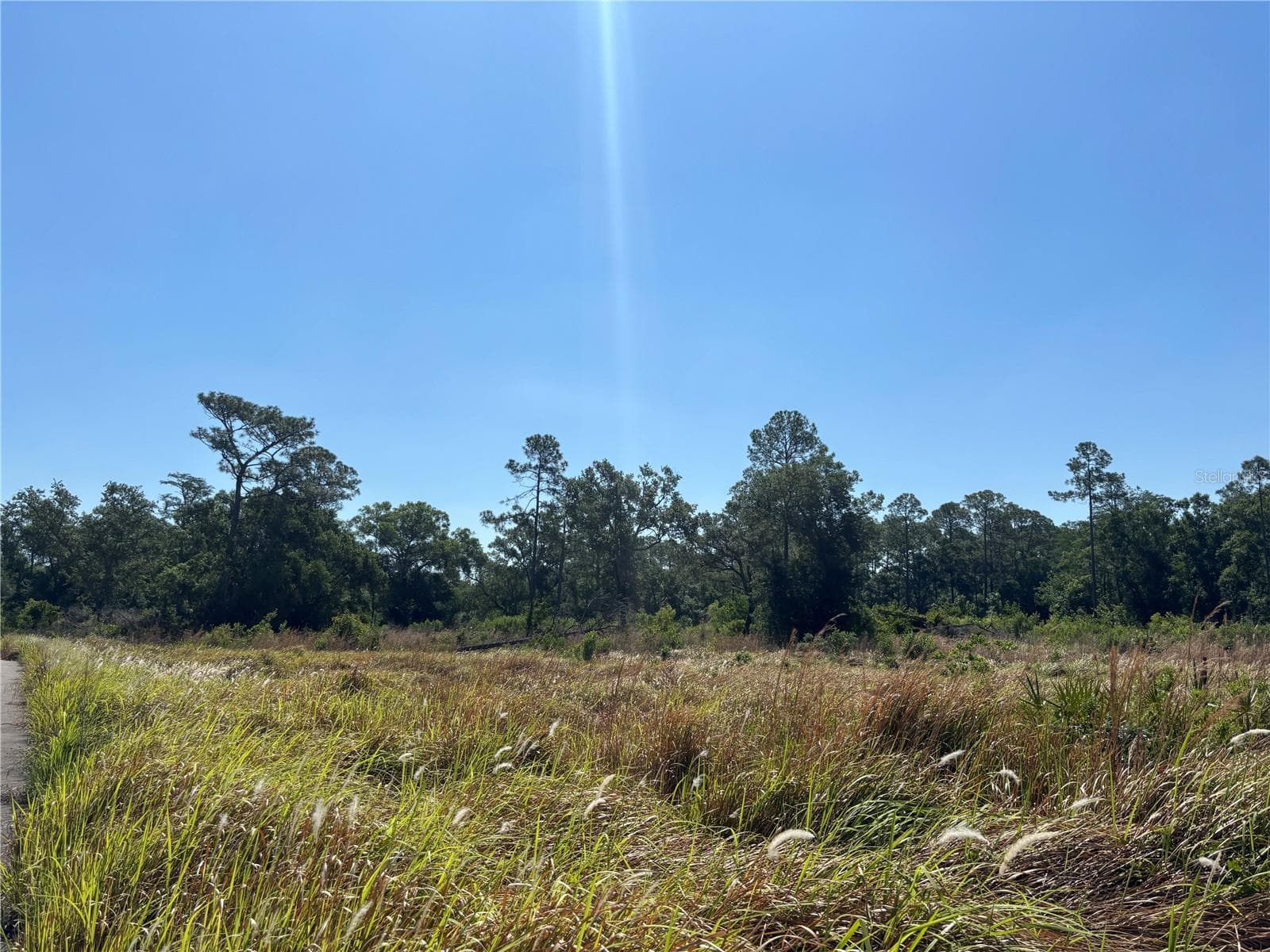 Good size lot and neighbor lot; both cleared - AVONWOOD, TAMPA