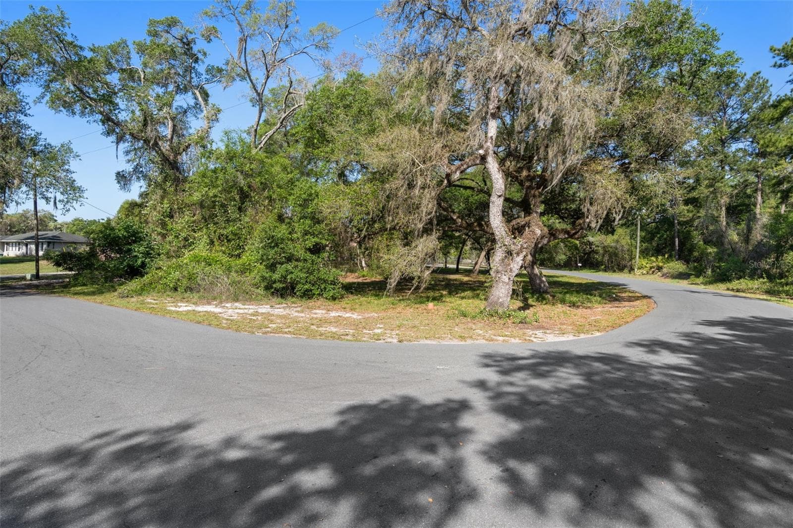 Land at 5043 CARDINAL DR, DADE CITY, photo 3 of 15