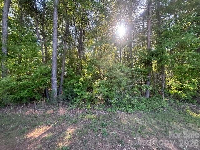 Lot at Davidson, photo 2 of 5