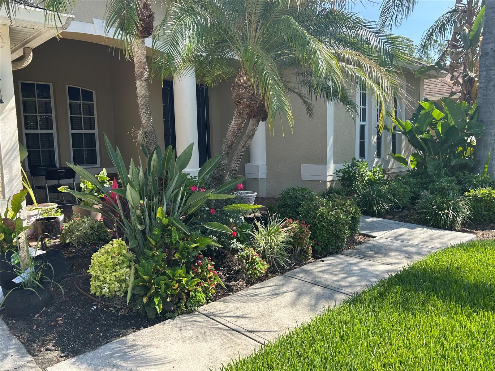 Front - 26612 SHOREGRASS DR, WESLEY CHAPEL