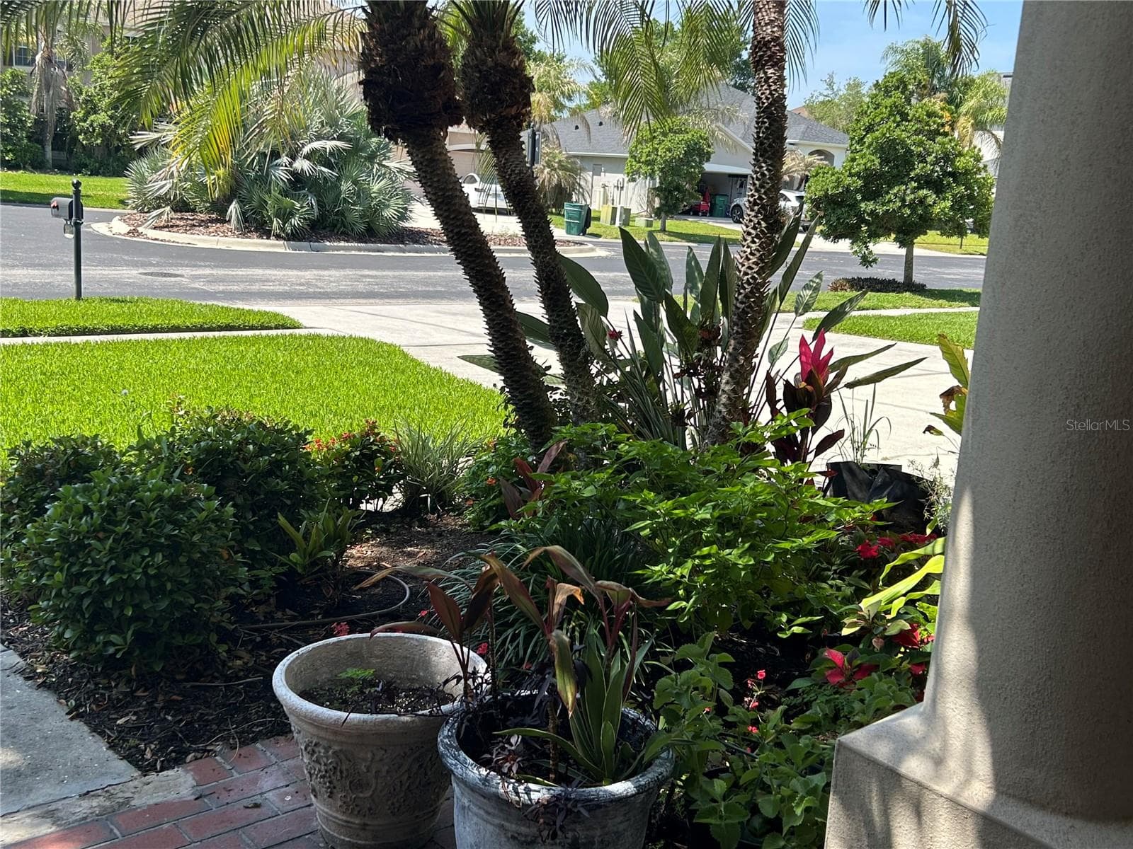 Front Yard - 26612 SHOREGRASS DR, WESLEY CHAPEL