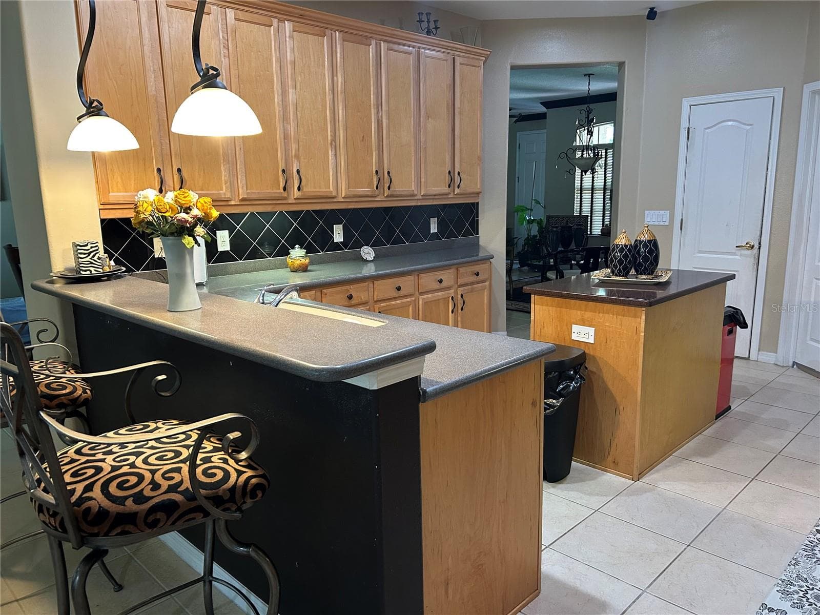 Kitchen - 26612 SHOREGRASS DR, WESLEY CHAPEL