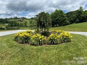 Grand Highlands lush greenery, landscaping - Hendersonville