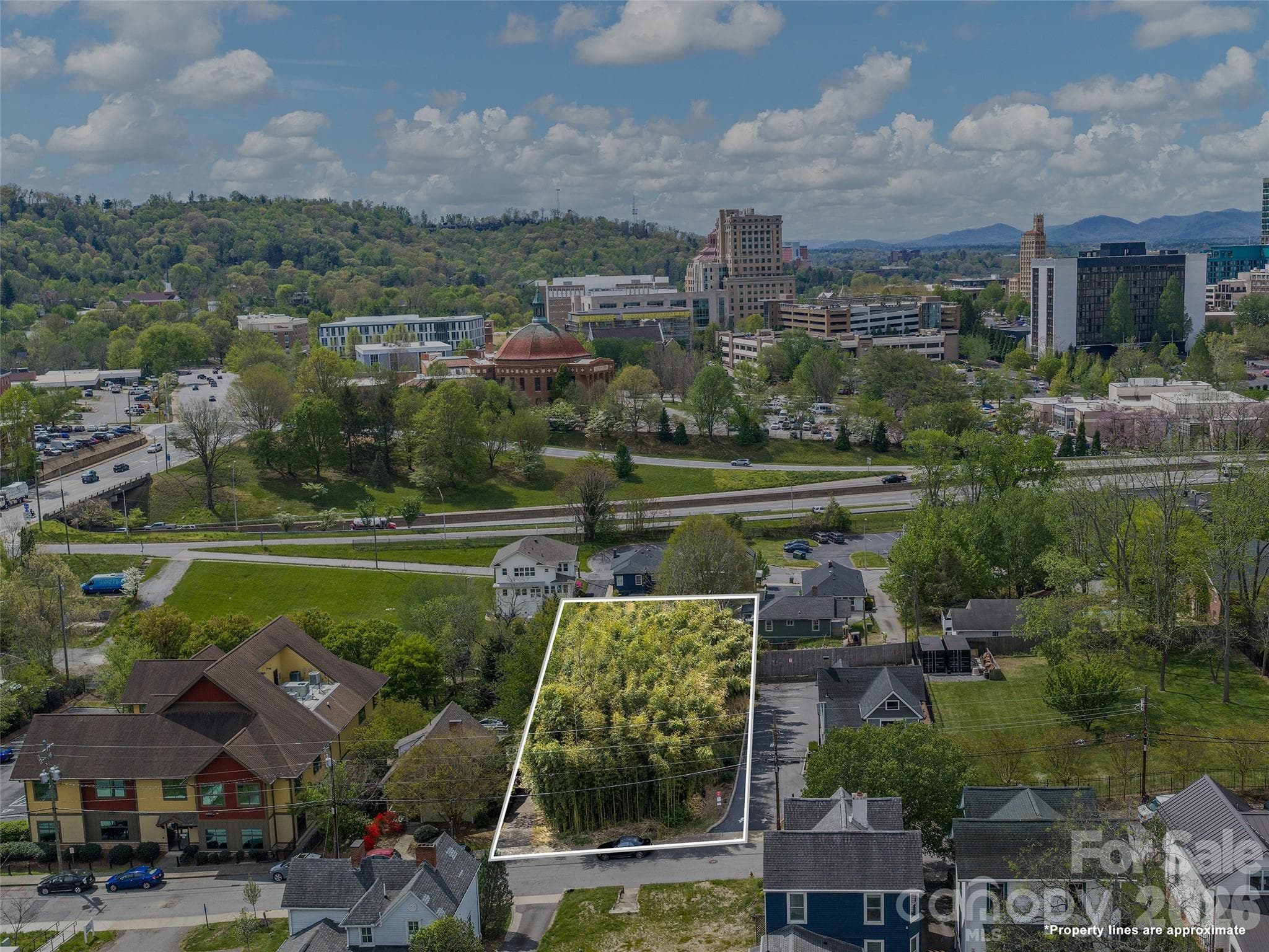 Lot at Asheville, photo 7 of 10