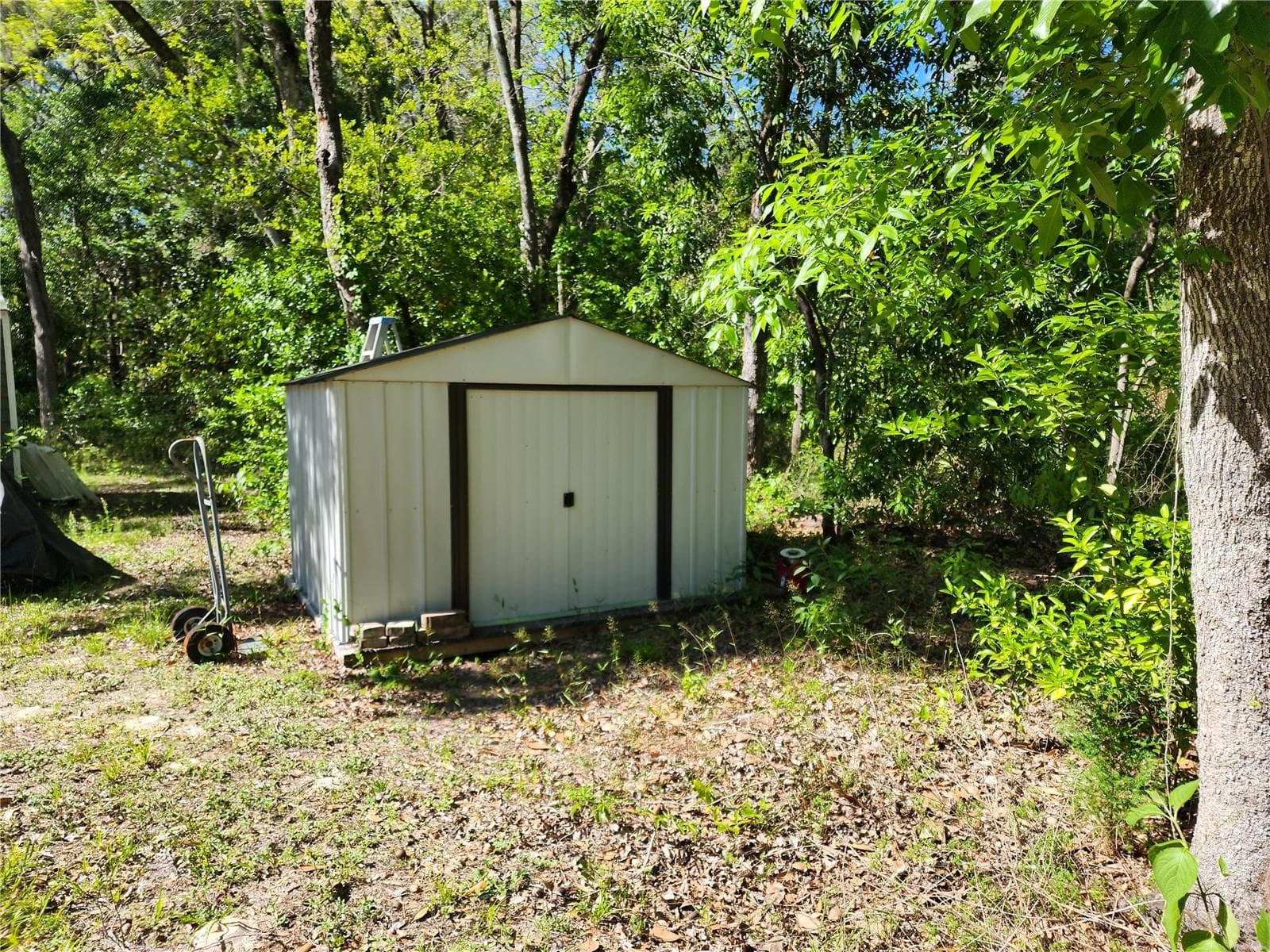 Storage Shed - 4150 S SPANIEL TRL, INVERNESS