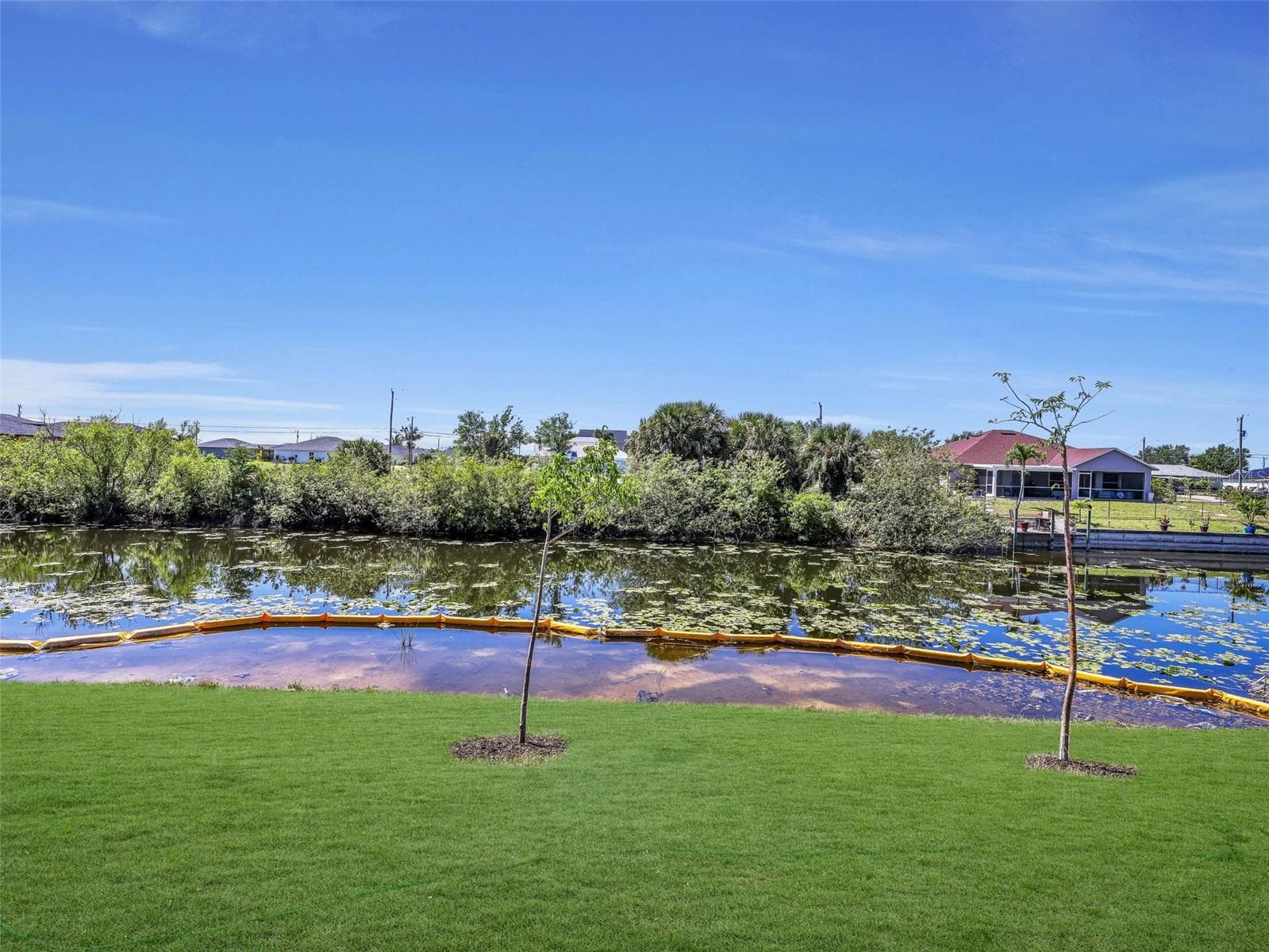 Manicured lawn bordering a waterway with established trees, reflecting a clear blue sky The color of the grass has been virtually enhanced - 1310 NW 11TH TER, CAPE CORAL