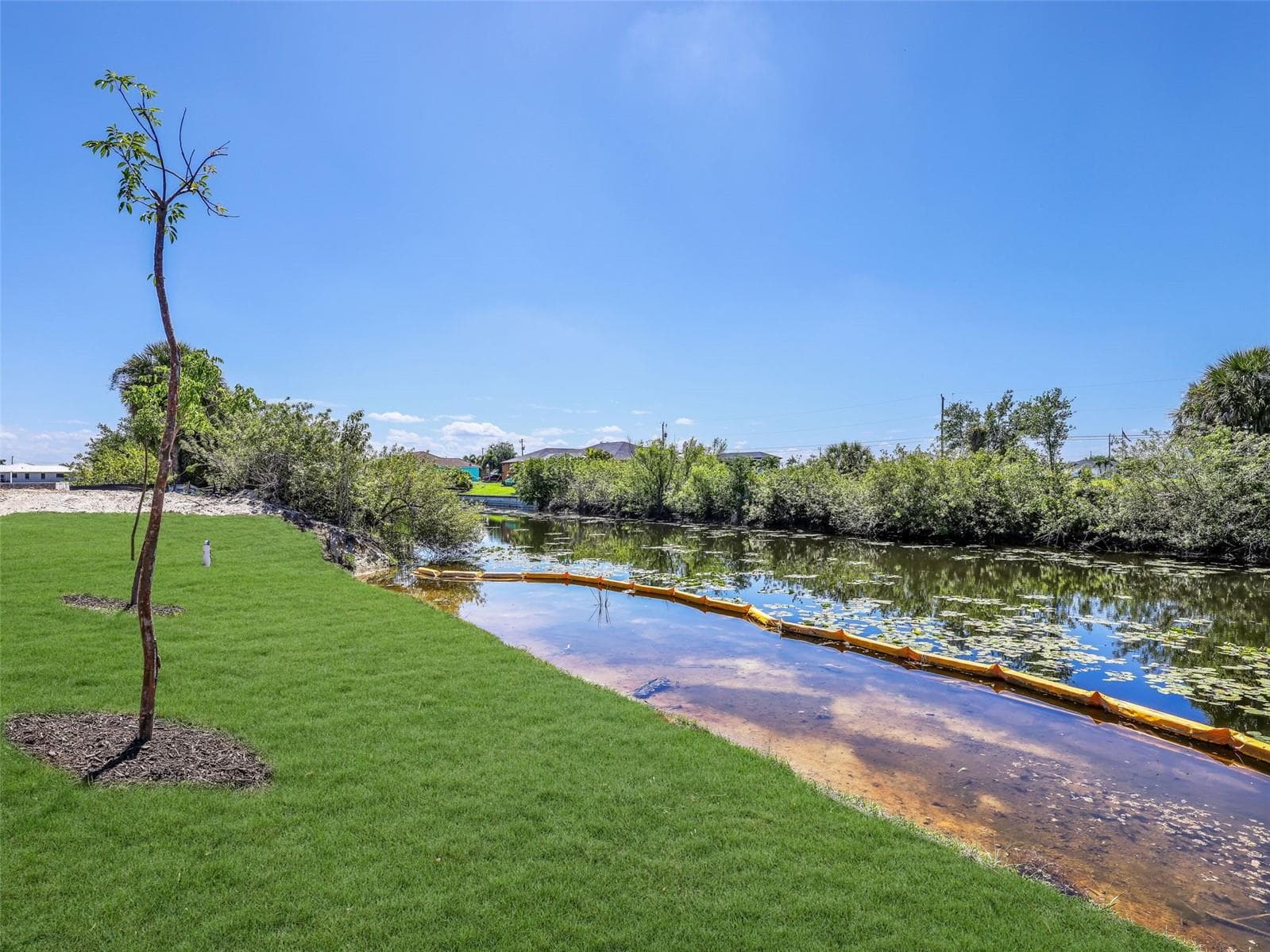 Waterfront lot featuring a grass lawn, a young tree, and established foliage along the waterway The color of the grass has been virtually enhanced - 1310 NW 11TH TER, CAPE CORAL