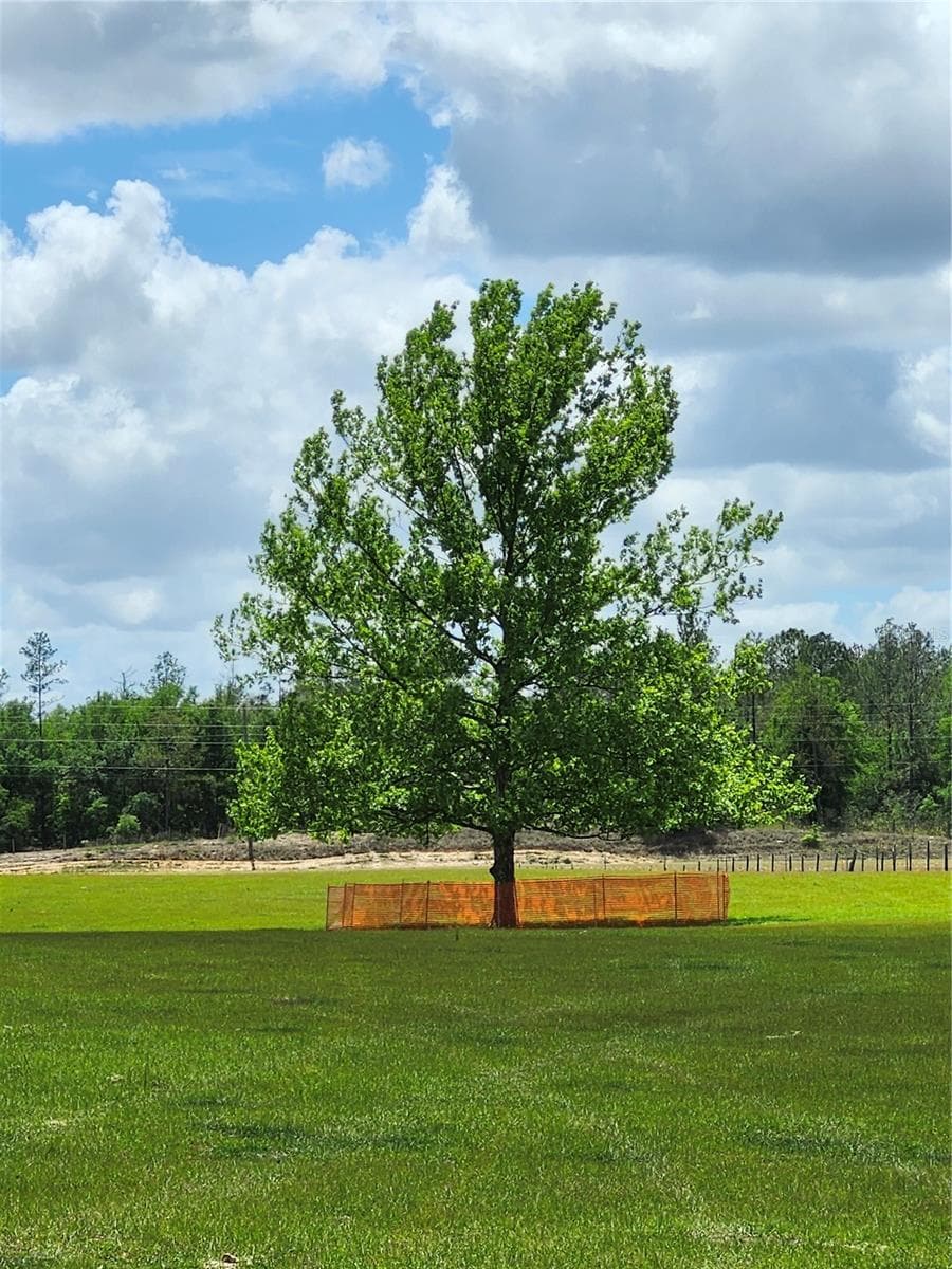 Land at 0 CHRISTIAN RD #Lot 2, DADE CITY, photo 6 of 8