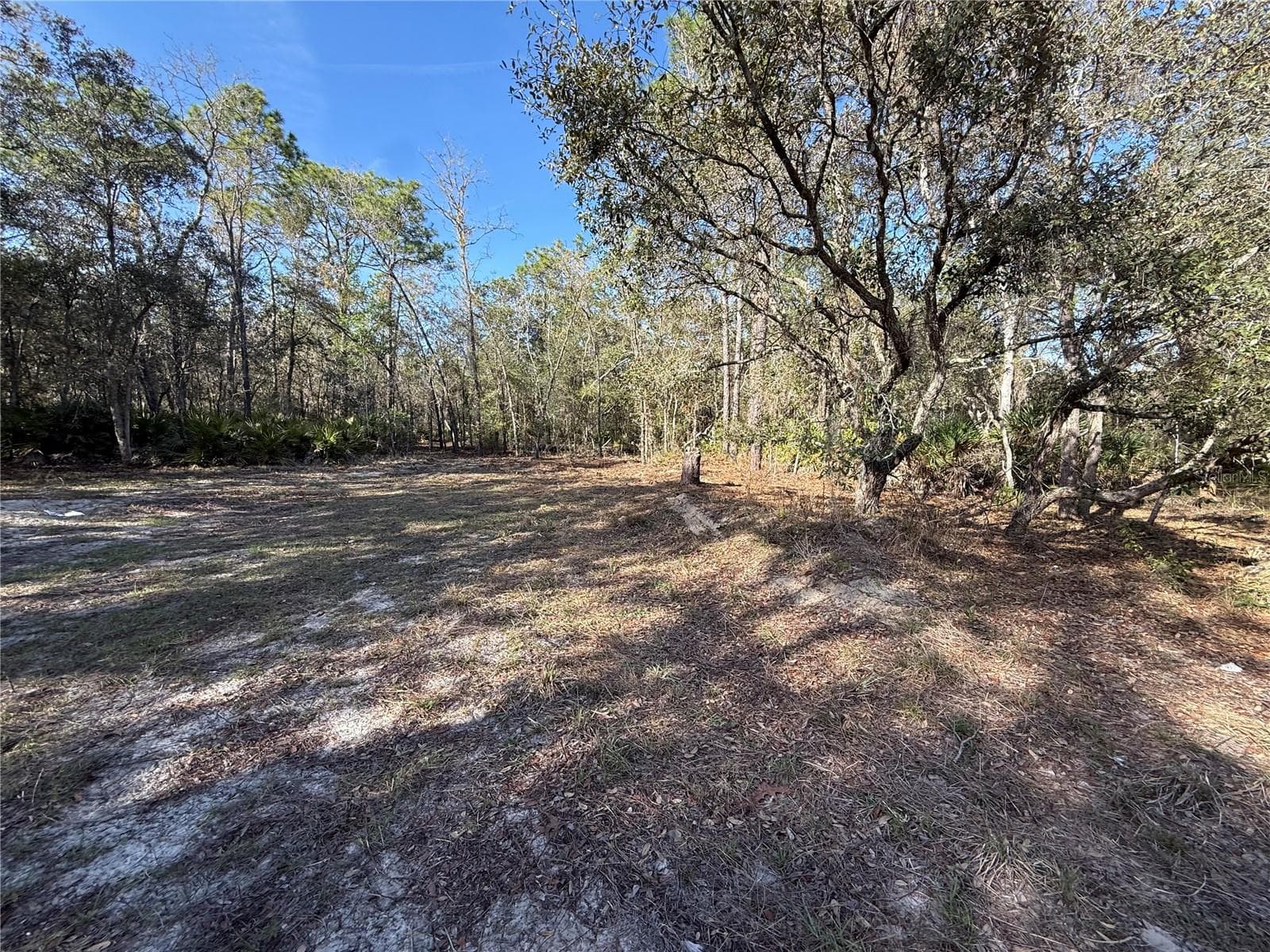 Land at 6479 W HOLIDAY ST, HOMOSASSA, photo 4 of 11