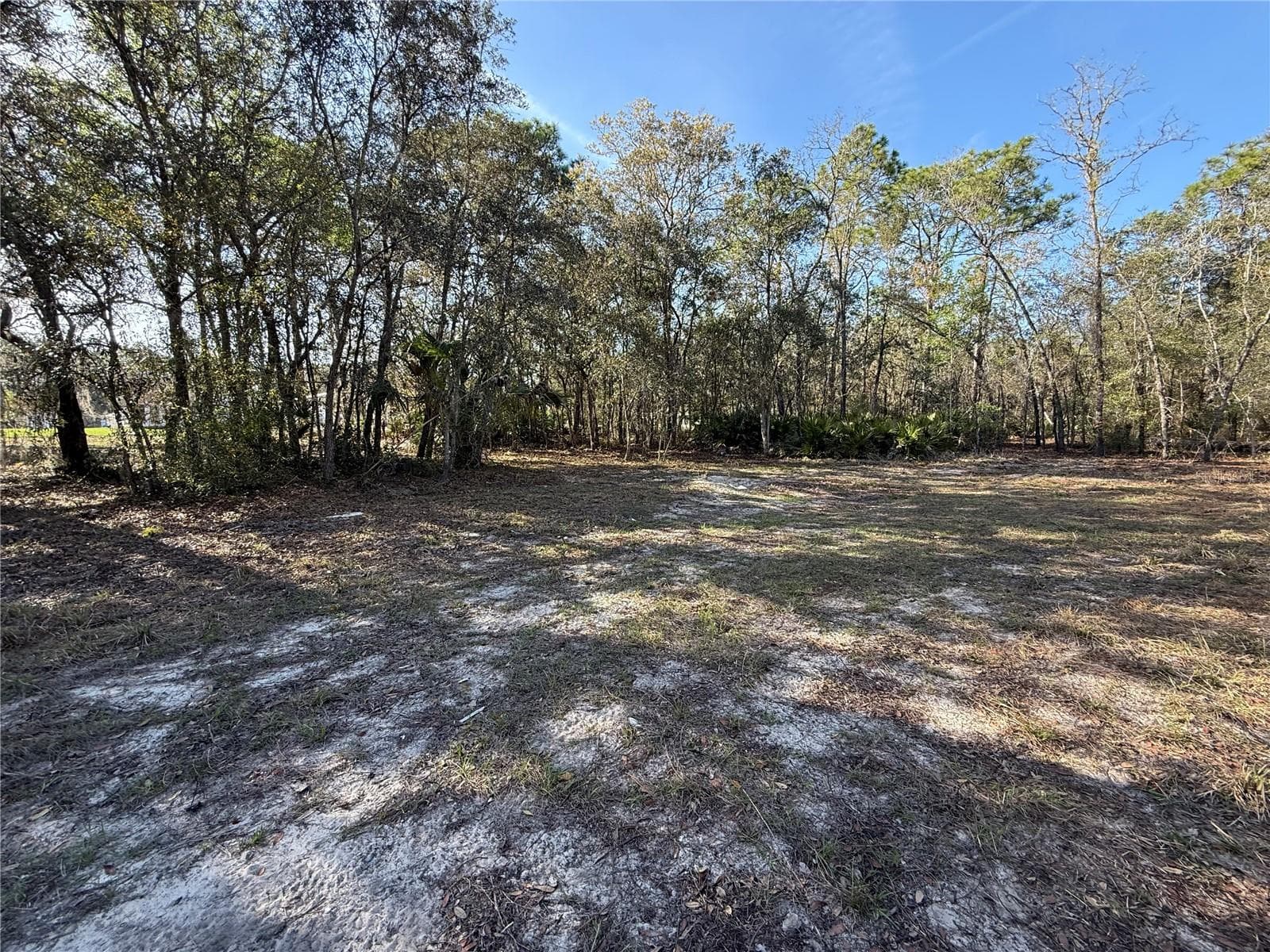 Land at 6479 W HOLIDAY ST, HOMOSASSA, photo 5 of 11