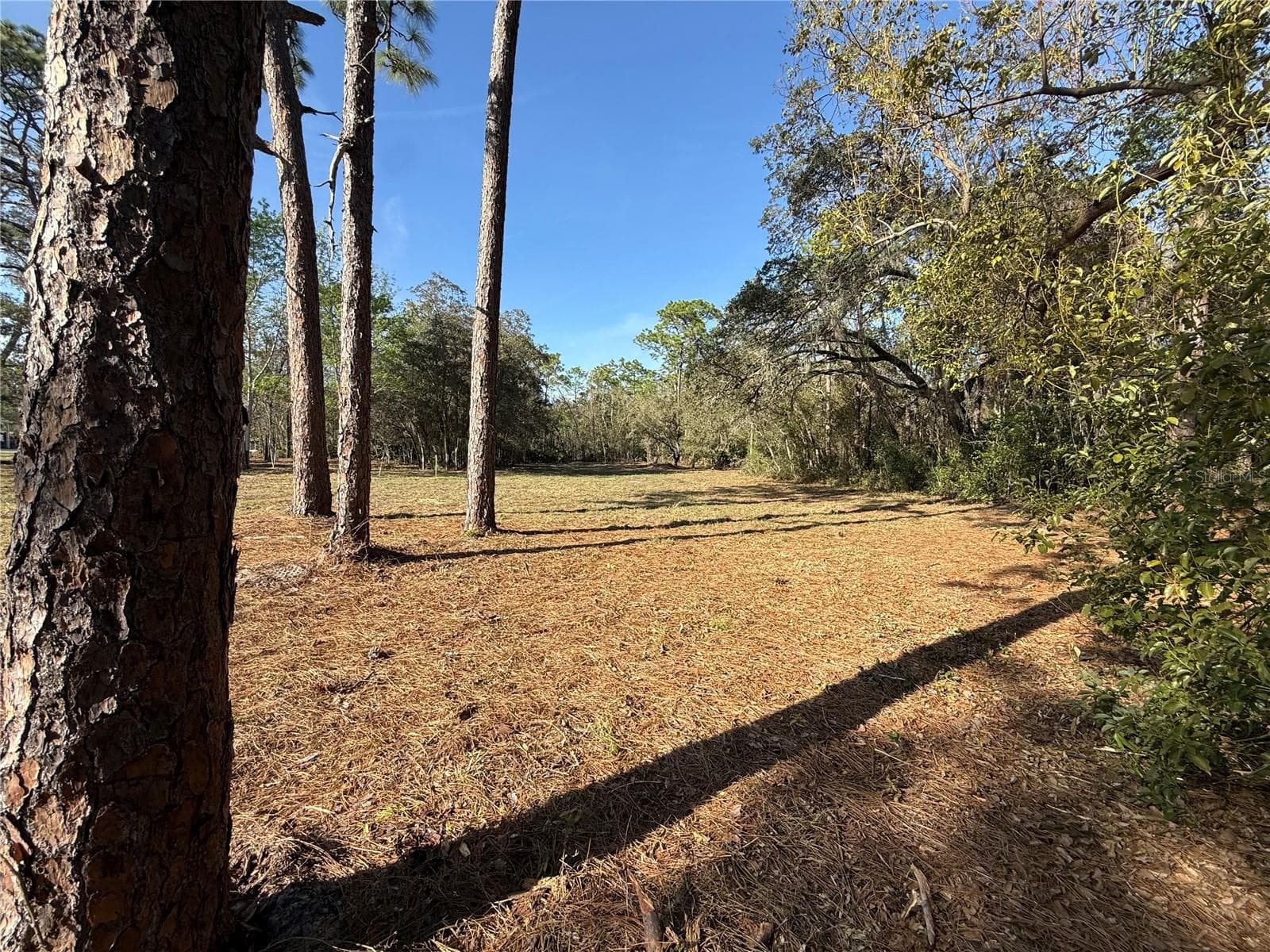 Land at 6479 W HOLIDAY ST, HOMOSASSA, photo 6 of 11