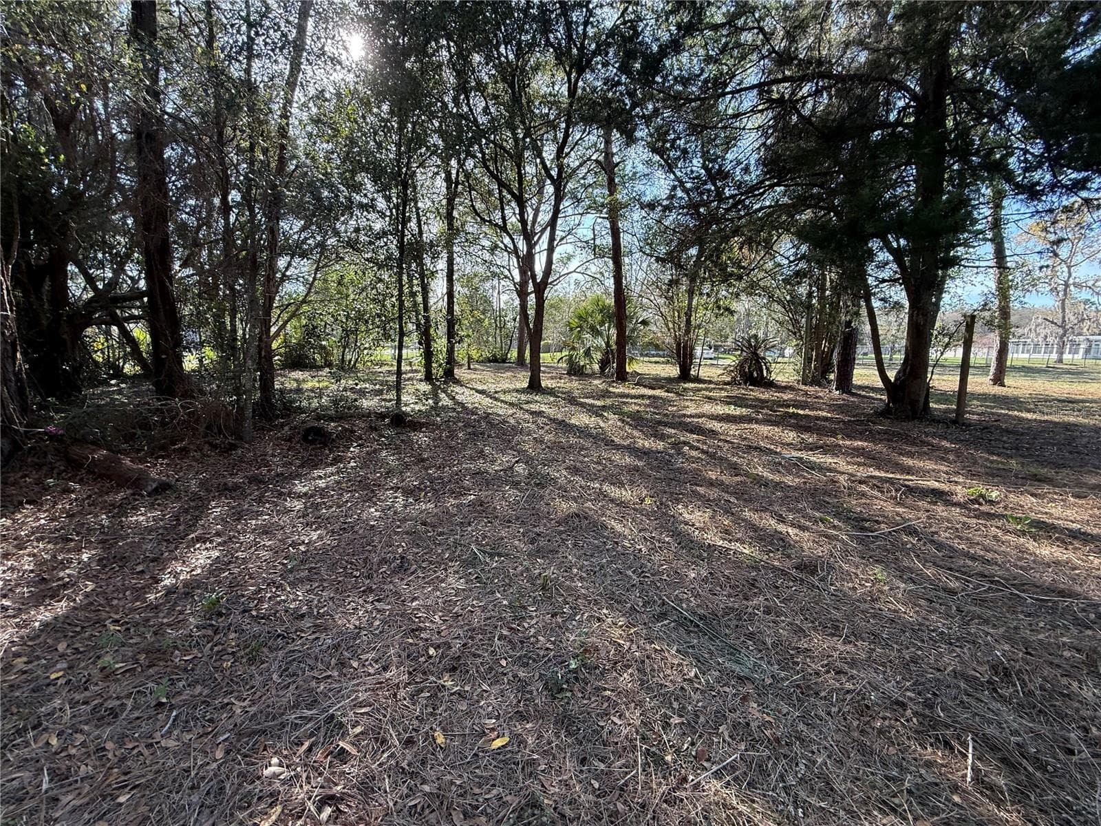 Land at 6479 W HOLIDAY ST, HOMOSASSA, photo 7 of 11