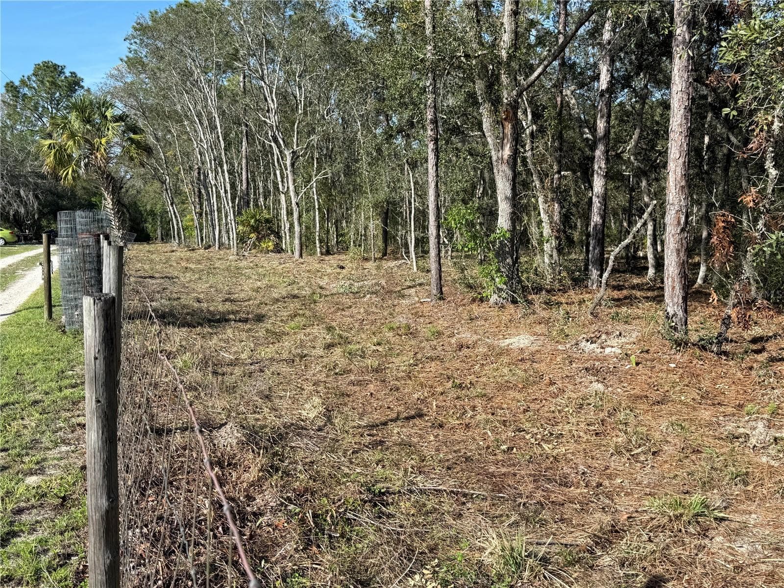 Land at 6479 W HOLIDAY ST, HOMOSASSA, photo 8 of 11